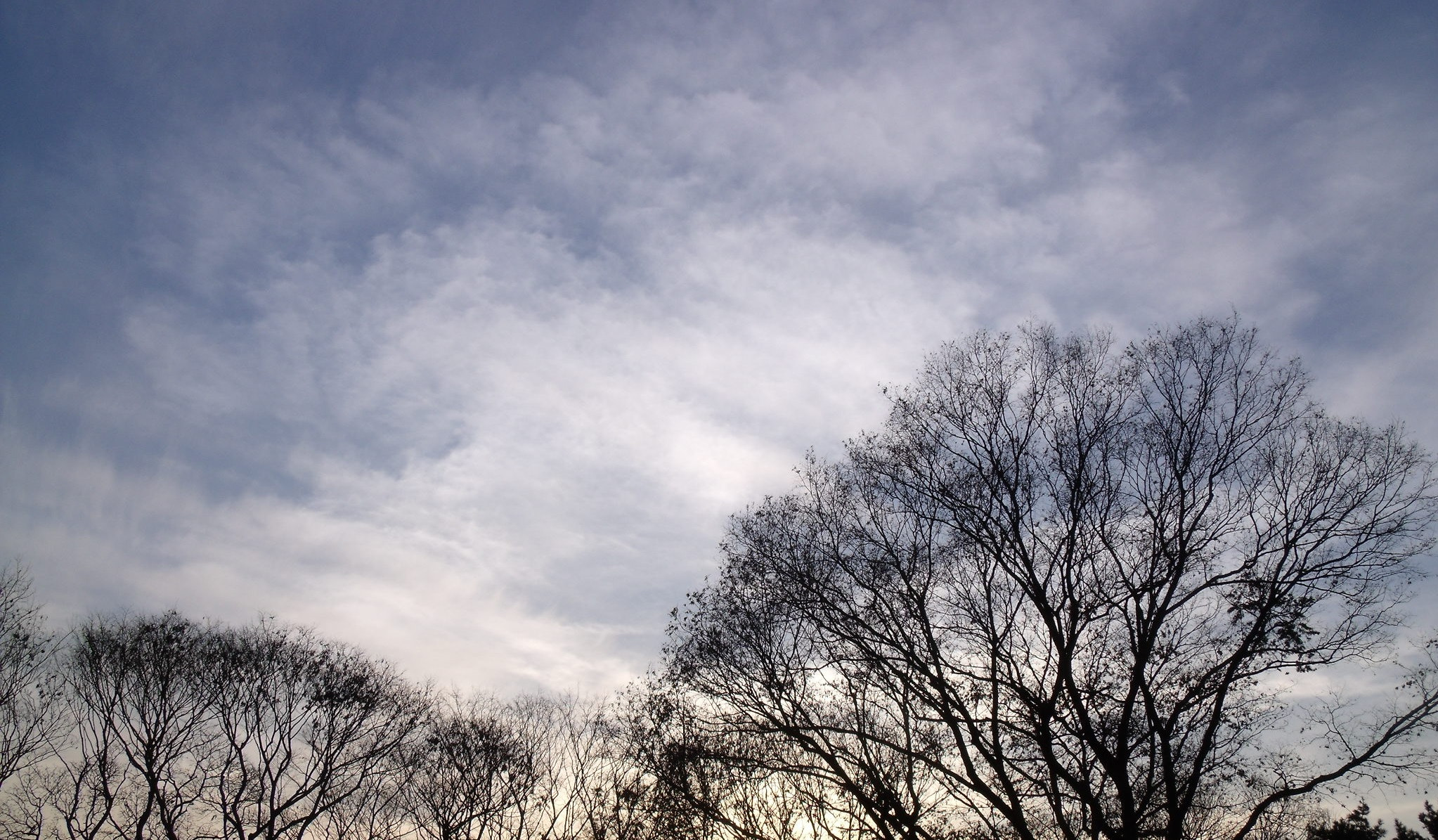 Fujifilm FinePix J110W sample photo. Evening sky photography