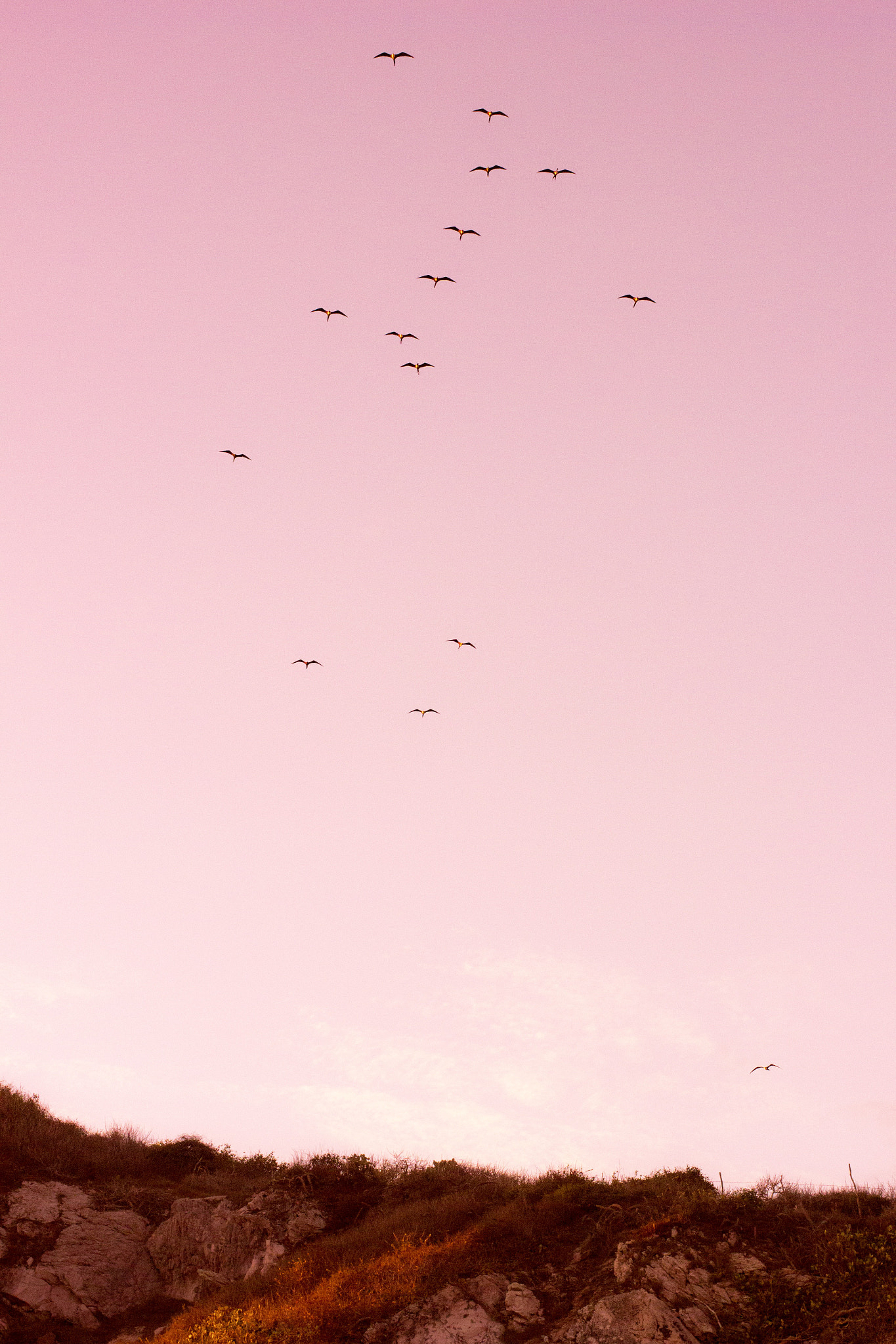 Canon EF 40mm F2.8 STM sample photo. Mexico sunsets photography