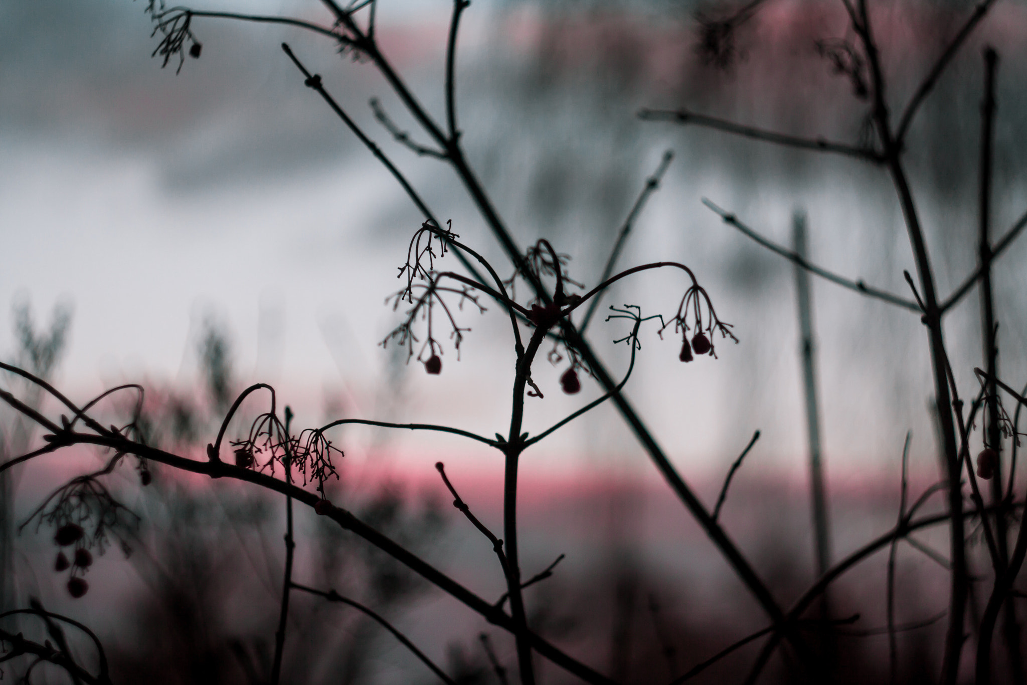 Canon EF 35-80mm f/4-5.6 sample photo. Evening photography