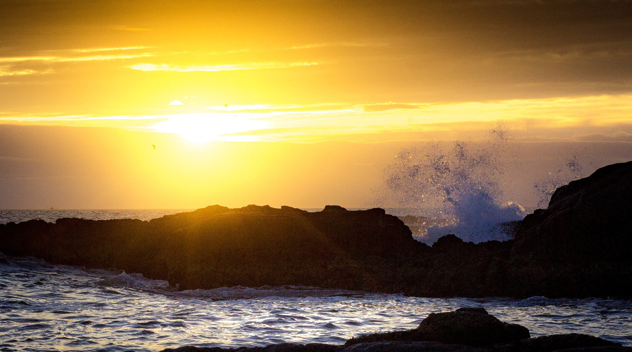 Canon EF 40mm F2.8 STM sample photo. Mazatlan mexico photography