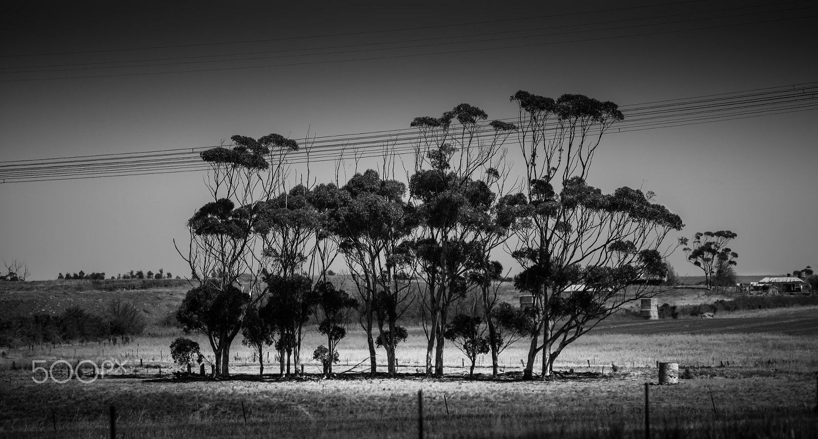 Canon EOS-1Ds Mark III sample photo. Farmland photography