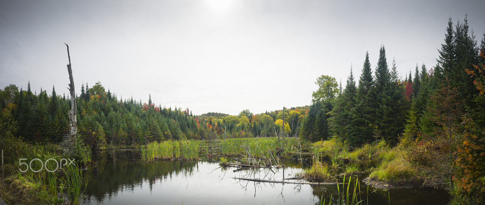 Olympus OM-D E-M1 sample photo. Autumn landscape photography