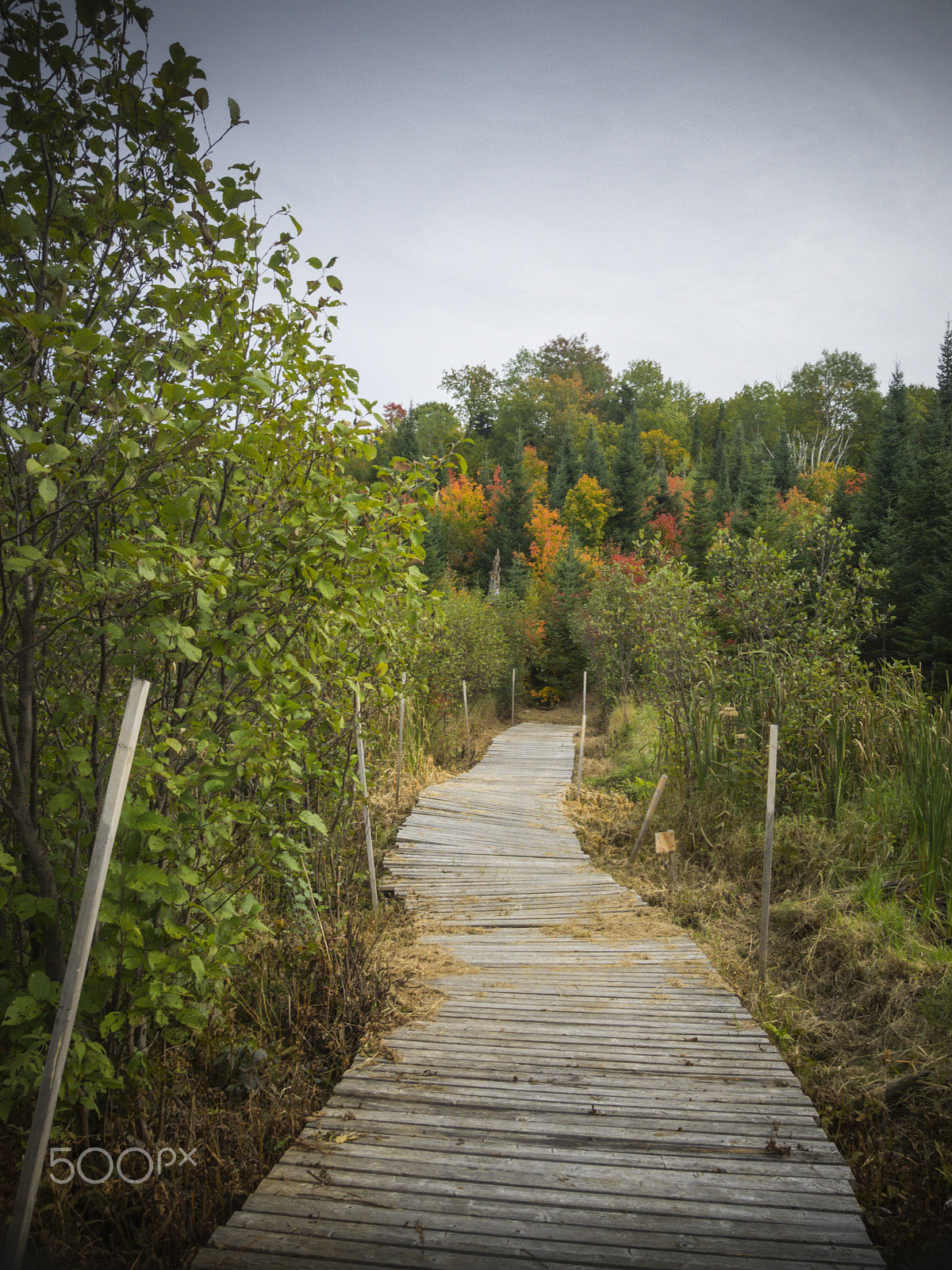 Olympus OM-D E-M1 sample photo. Autumn landscape photography