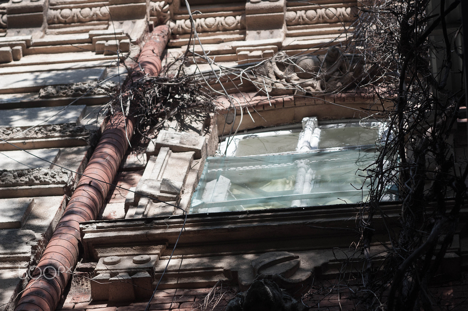 Canon EF 35-80mm f/4-5.6 sample photo. Another shoot photography