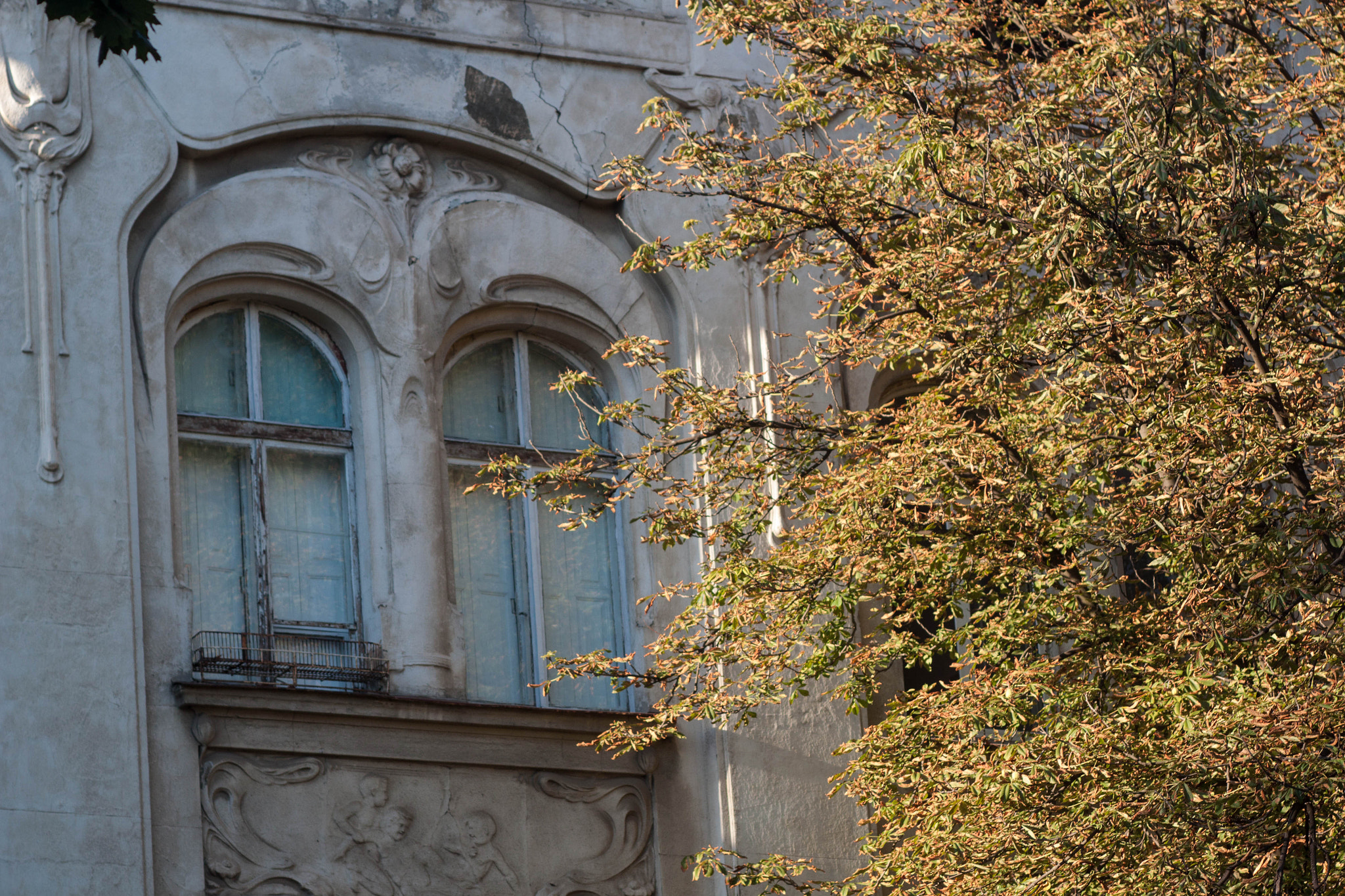 Canon EF 35-80mm f/4-5.6 sample photo. Autumn in summer photography