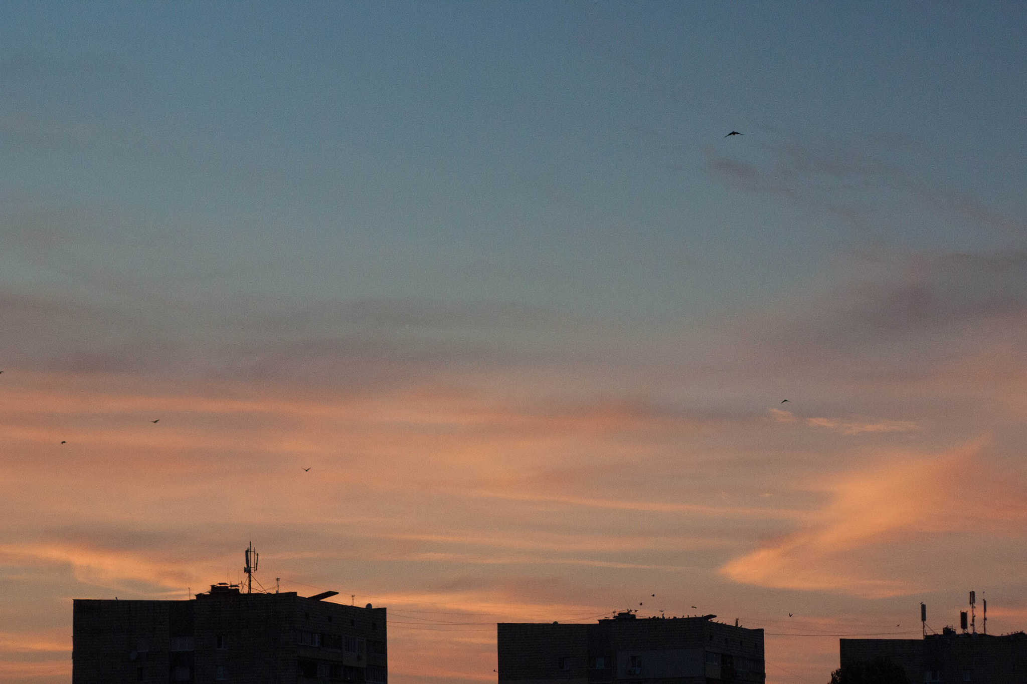 Canon EF 35-80mm f/4-5.6 sample photo. View from the balcony photography