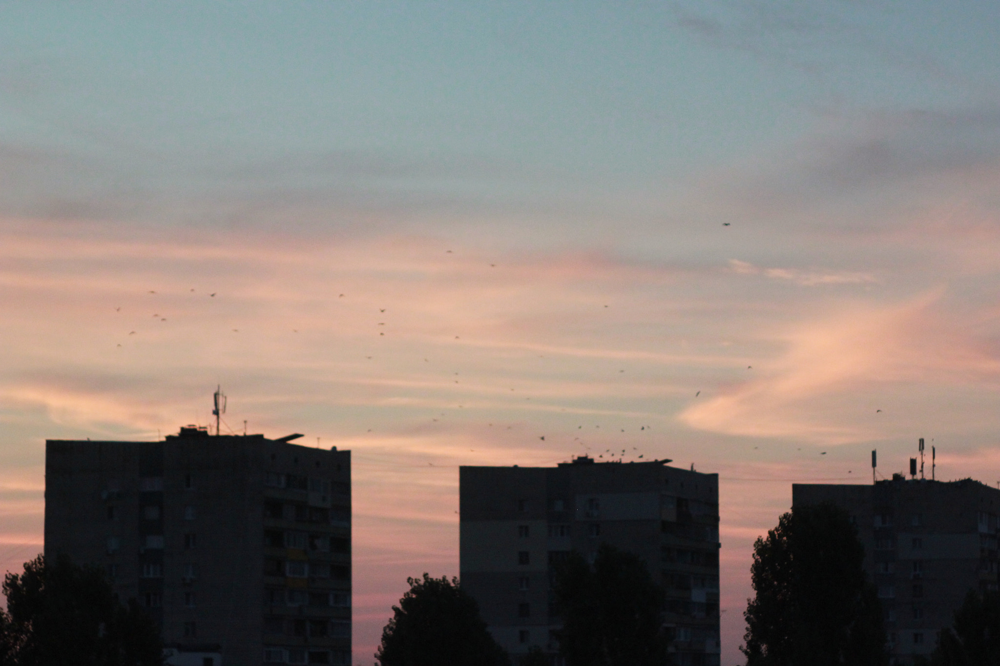 Canon EF 35-80mm f/4-5.6 sample photo. View from the balcony photography