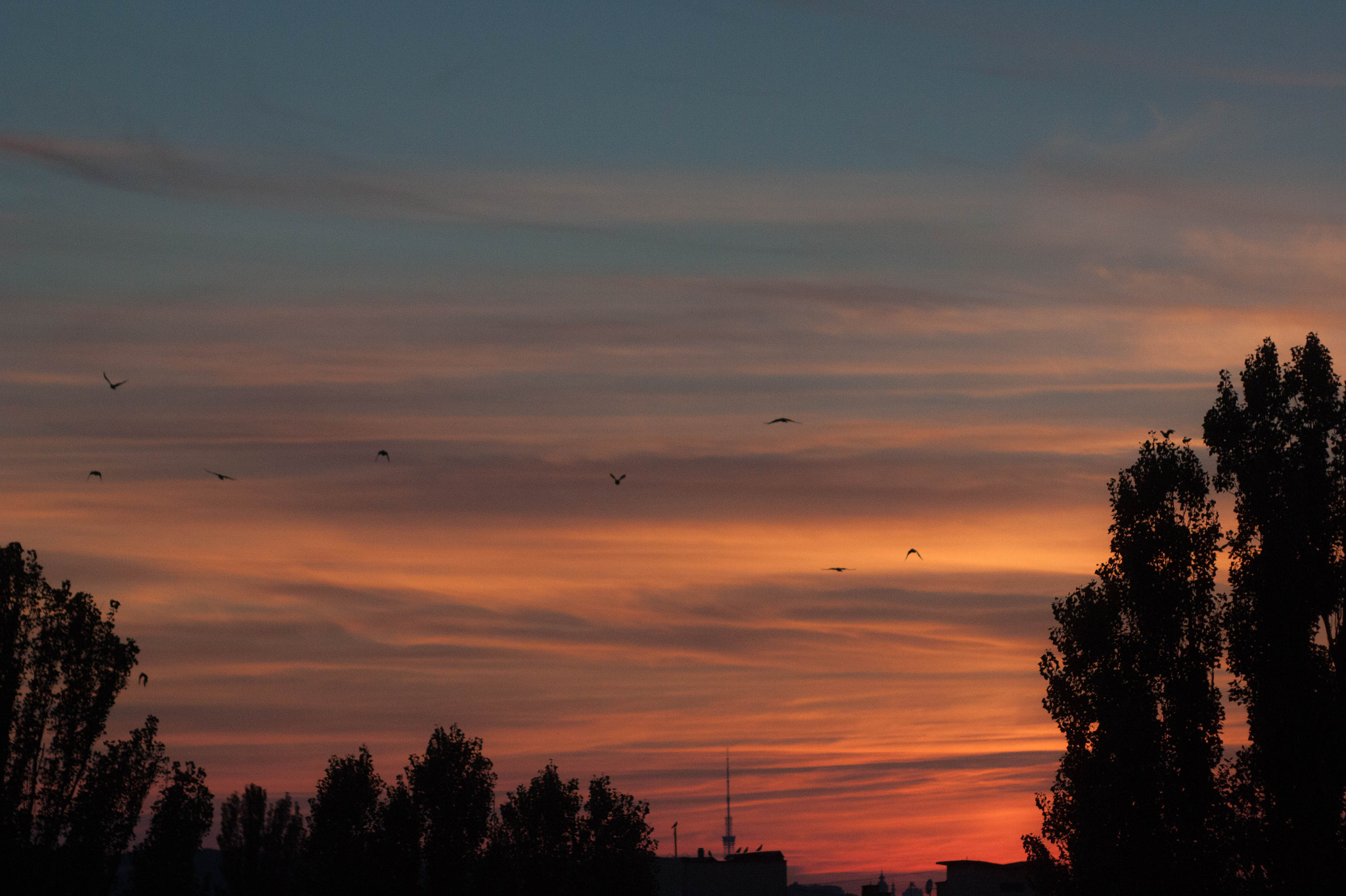 Canon EF 35-80mm f/4-5.6 sample photo. View from the balcony photography