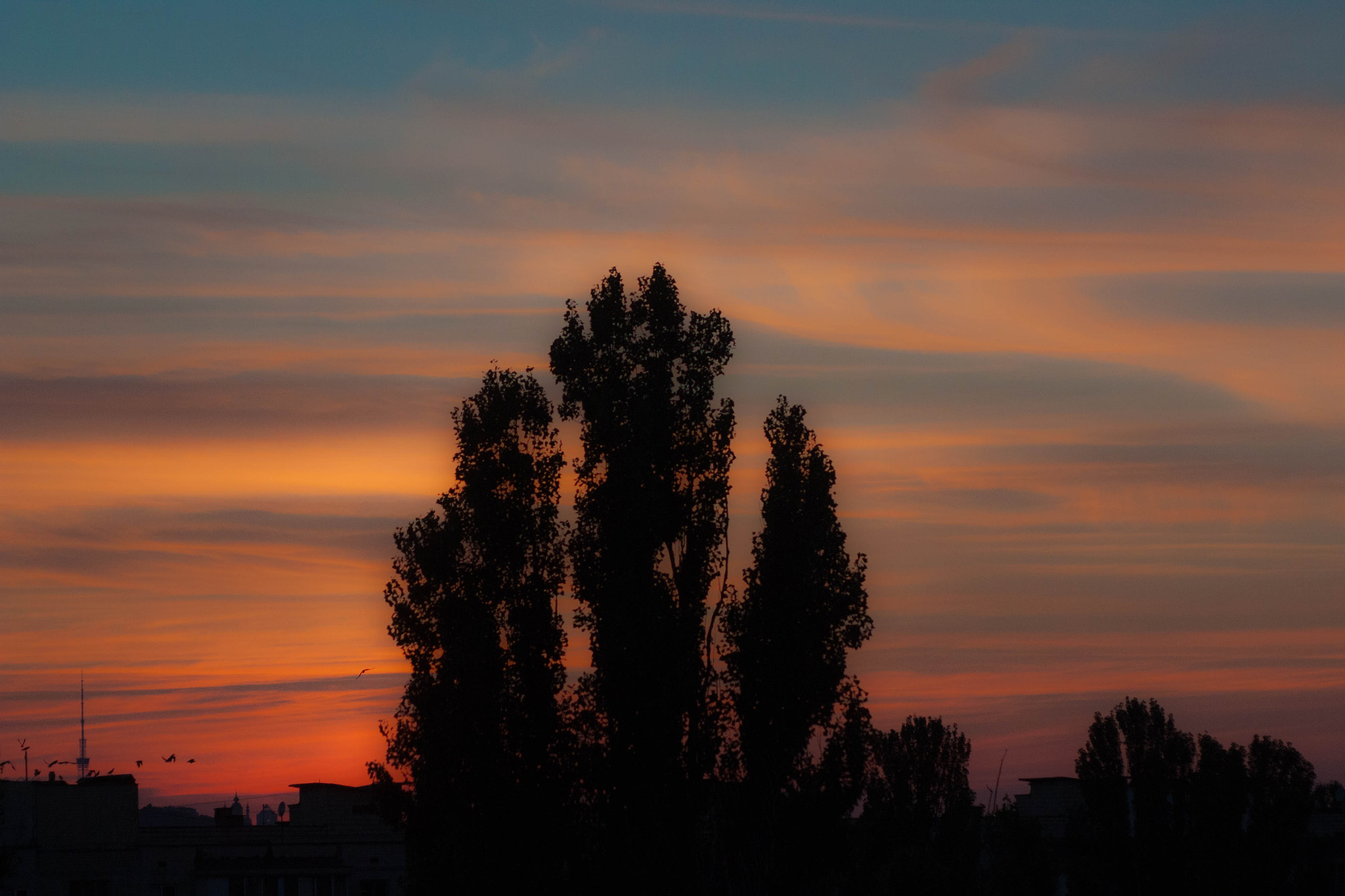 Canon EF 35-80mm f/4-5.6 sample photo. View from the balcony photography