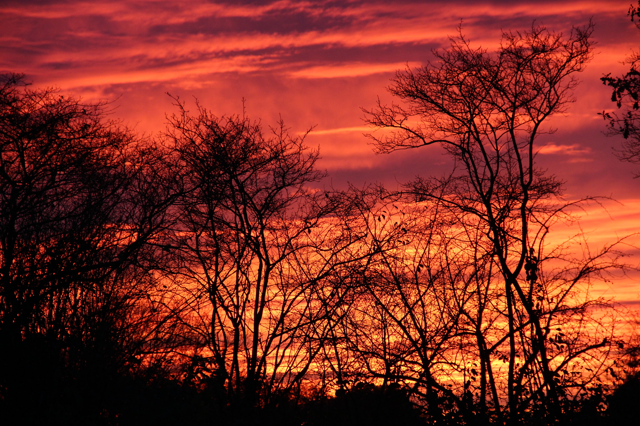 Canon EOS 650D (EOS Rebel T4i / EOS Kiss X6i) sample photo. Sunset photography