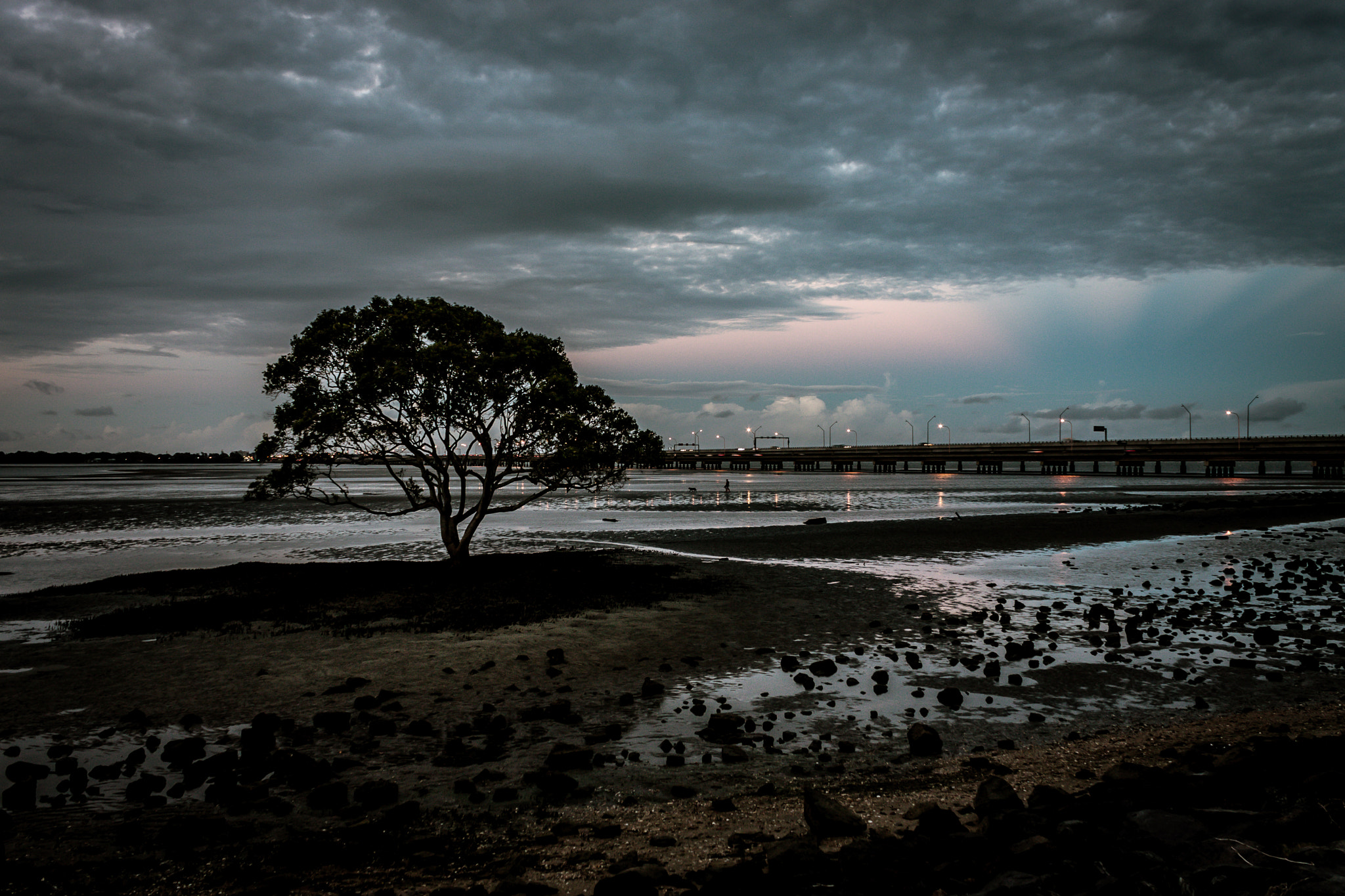 Canon EF-S 18-55mm F3.5-5.6 IS sample photo. Brighton park evening photography
