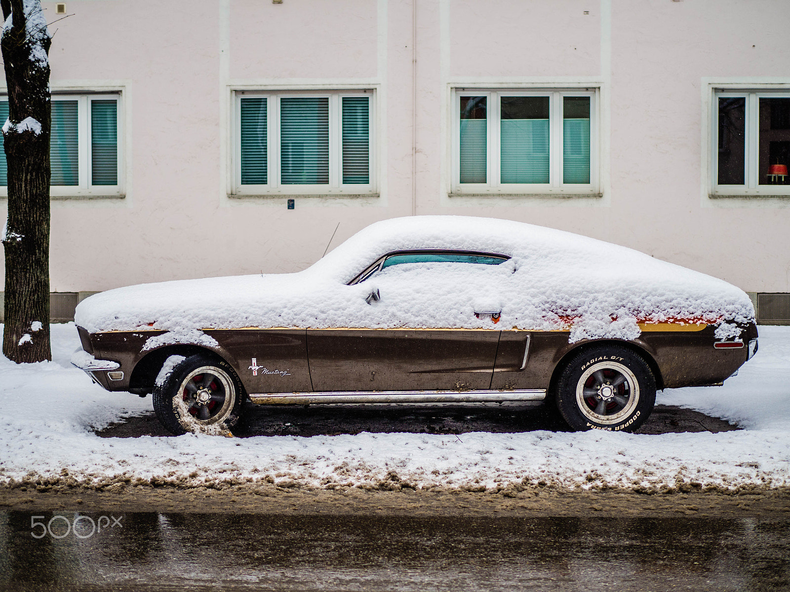 Olympus OM-D E-M10 sample photo. Mustang photography