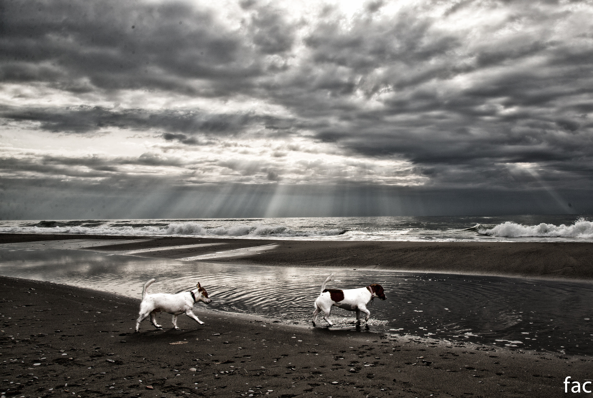Canon EOS-1D X sample photo. Running in the sky photography