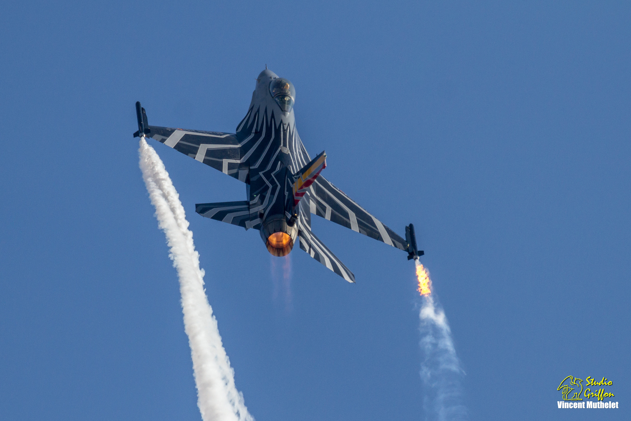 Sigma 150-600mm F5-6.3 DG OS HSM | C sample photo