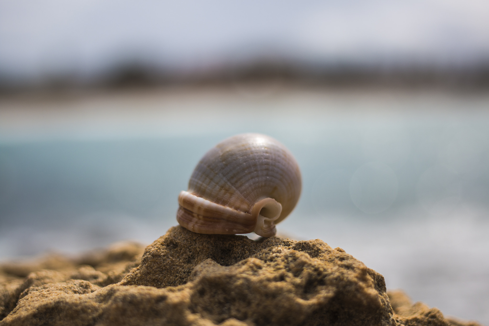 Canon EOS 70D + Canon EF 40mm F2.8 STM sample photo. 32426681513.jpg photography