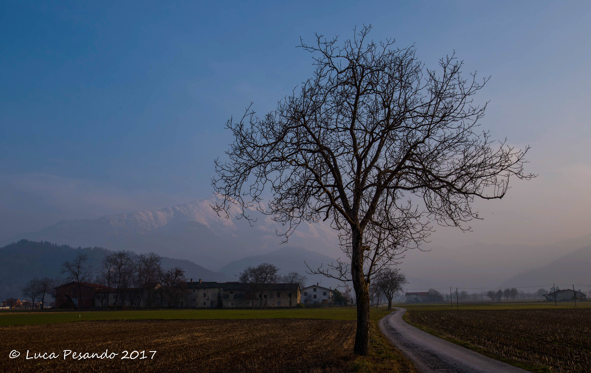 Nikon AF-S Nikkor 18-35mm F3.5-4.5G ED sample photo. L'albero photography