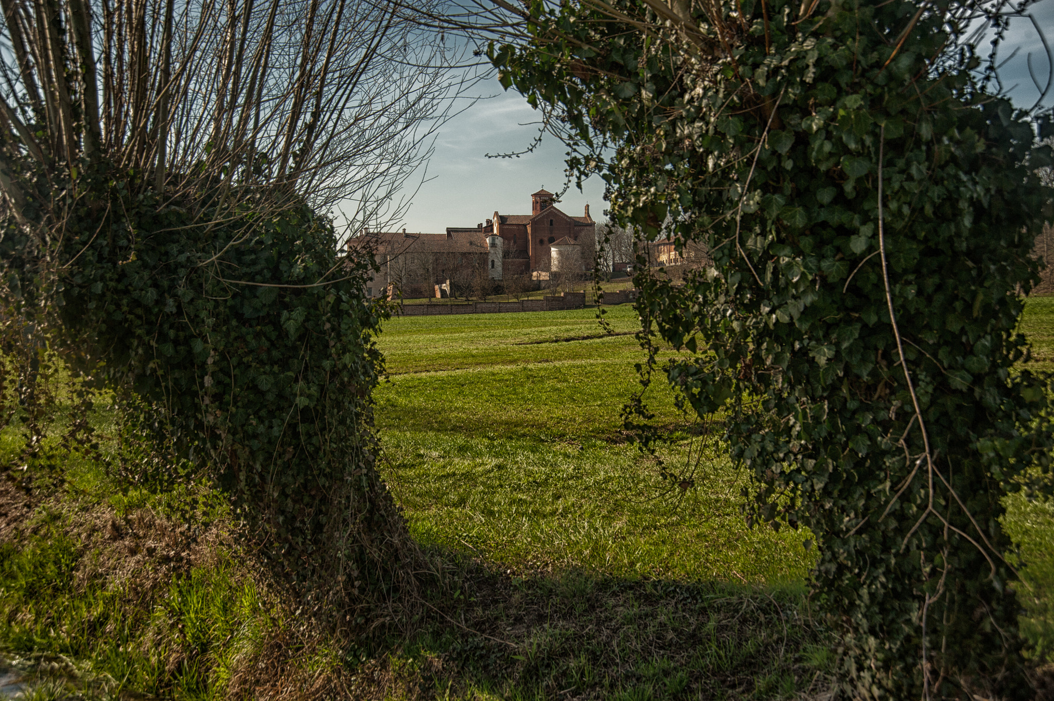 Nikon D700 sample photo. Like the ivy that has no obstacles ... photography