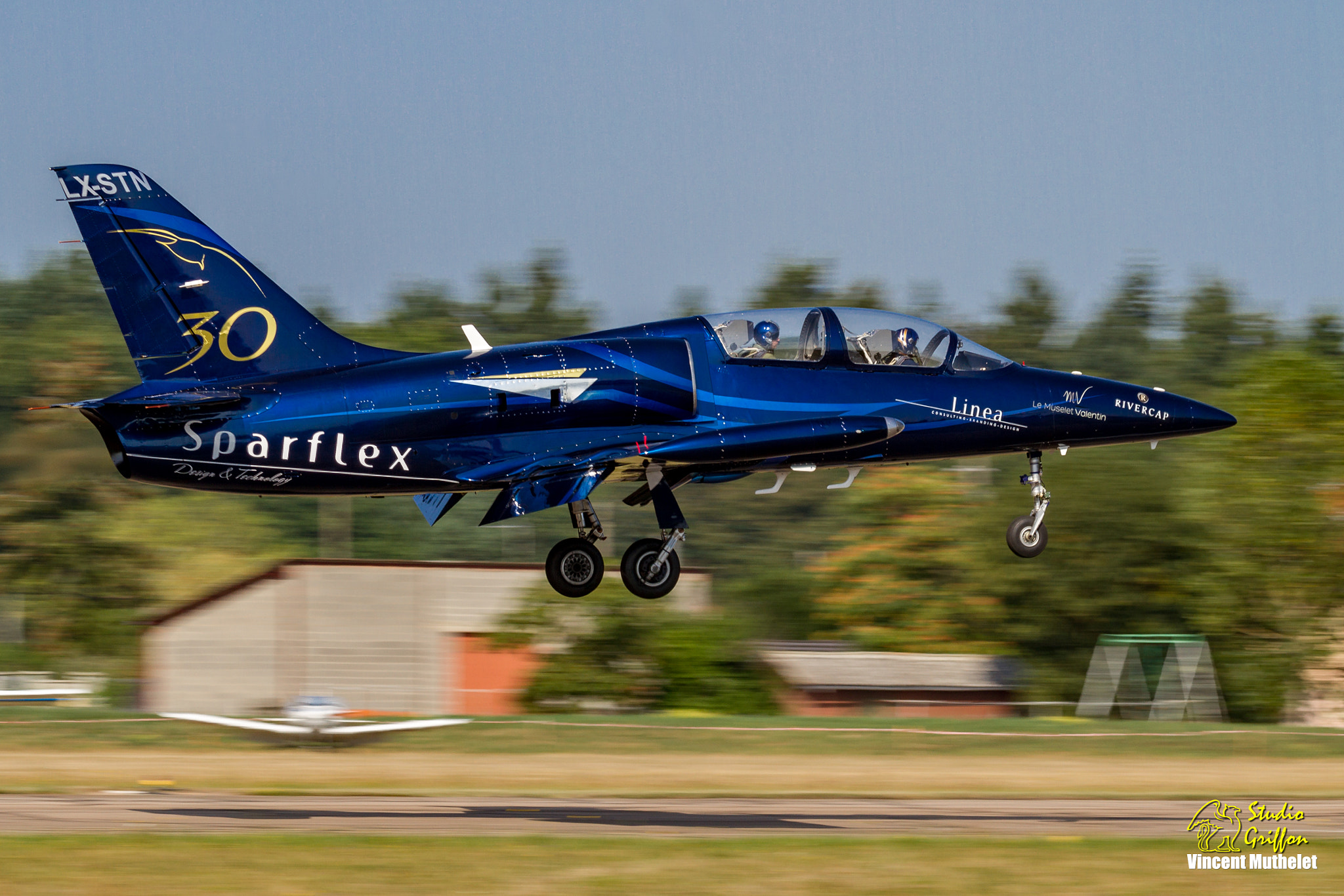 Sigma 150-600mm F5-6.3 DG OS HSM | C sample photo. Starflex photography
