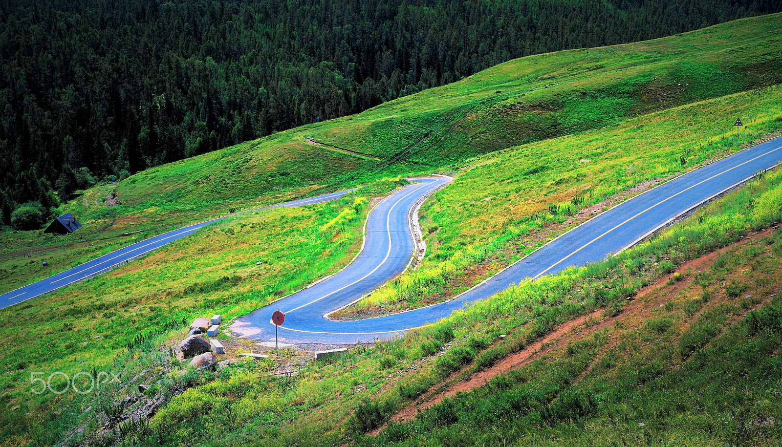 Nikon D800 + Sigma 50mm F1.4 DG HSM Art sample photo. A road photography