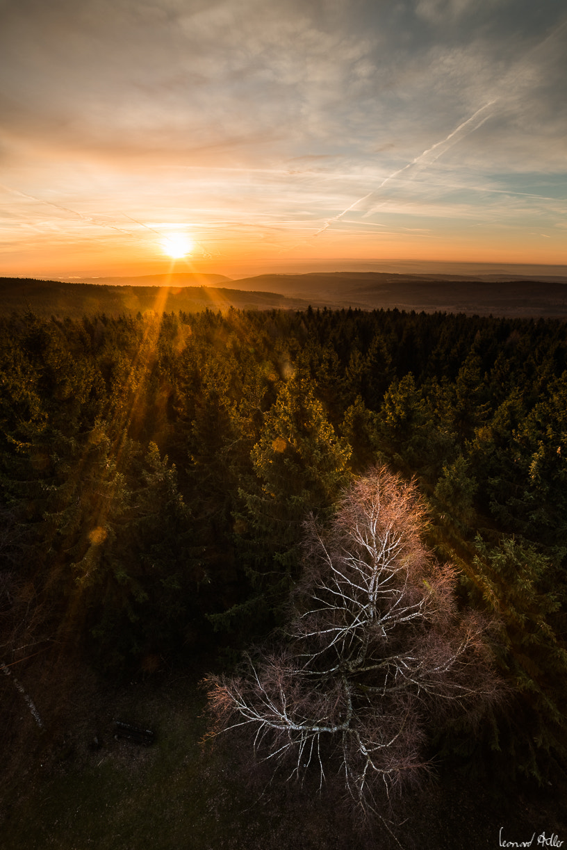 Samyang 14mm F2.8 ED AS IF UMC sample photo. Good morning photography