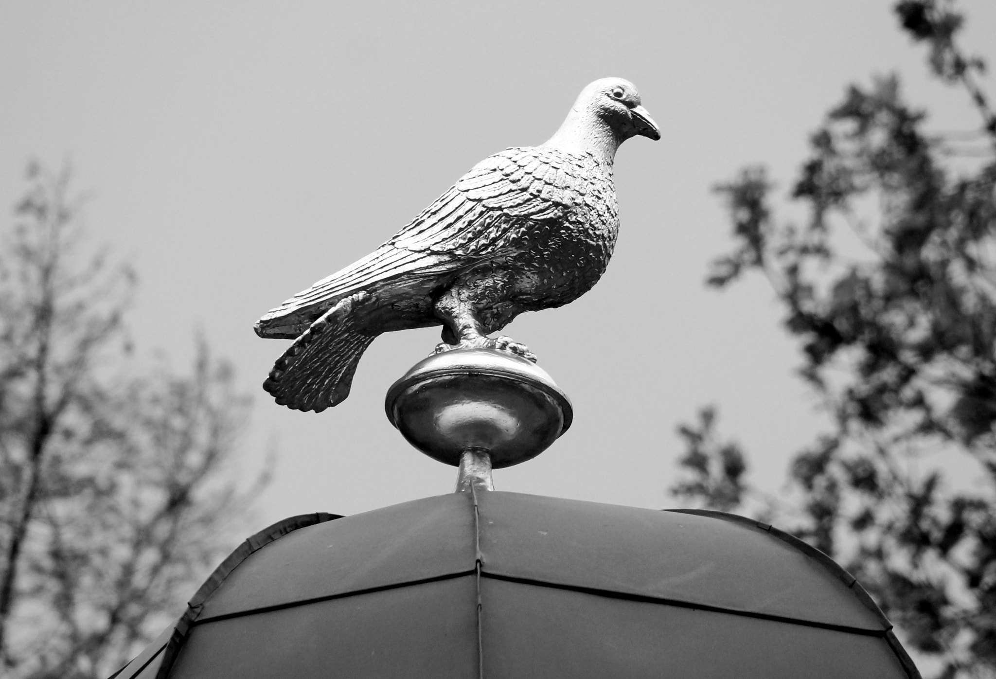 Sony DT 18-250mm F3.5-6.3 sample photo. Dsc photography
