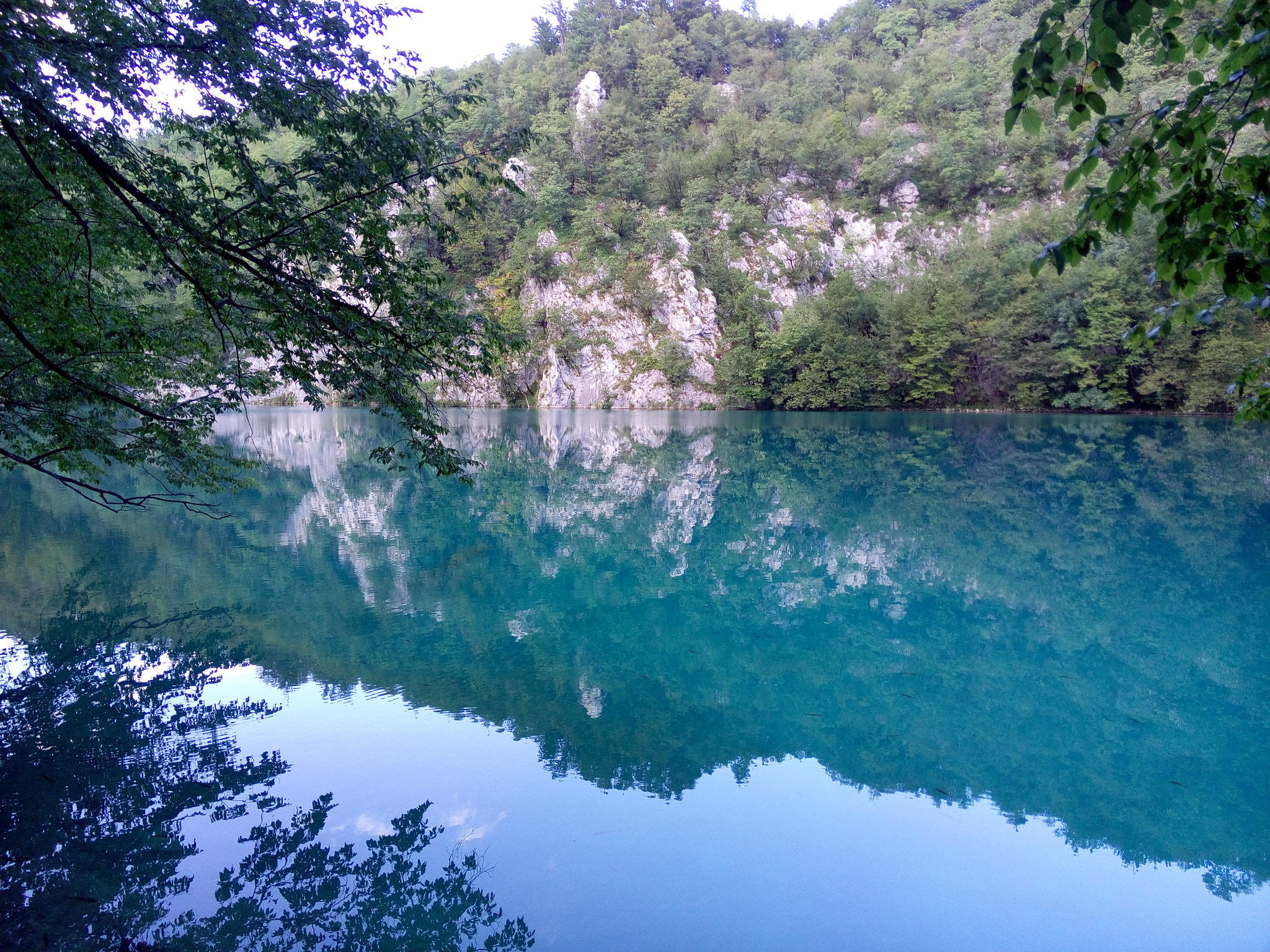 Meizu MX4 sample photo. Reflection in plitvice park photography