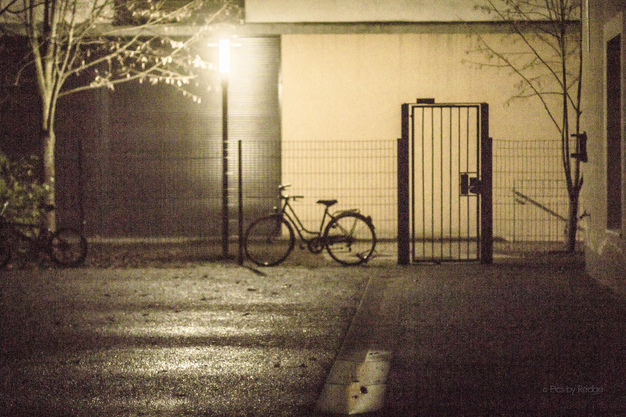 Canon EOS 700D (EOS Rebel T5i / EOS Kiss X7i) + Canon EF 50mm F1.4 USM sample photo. 3 am. photography