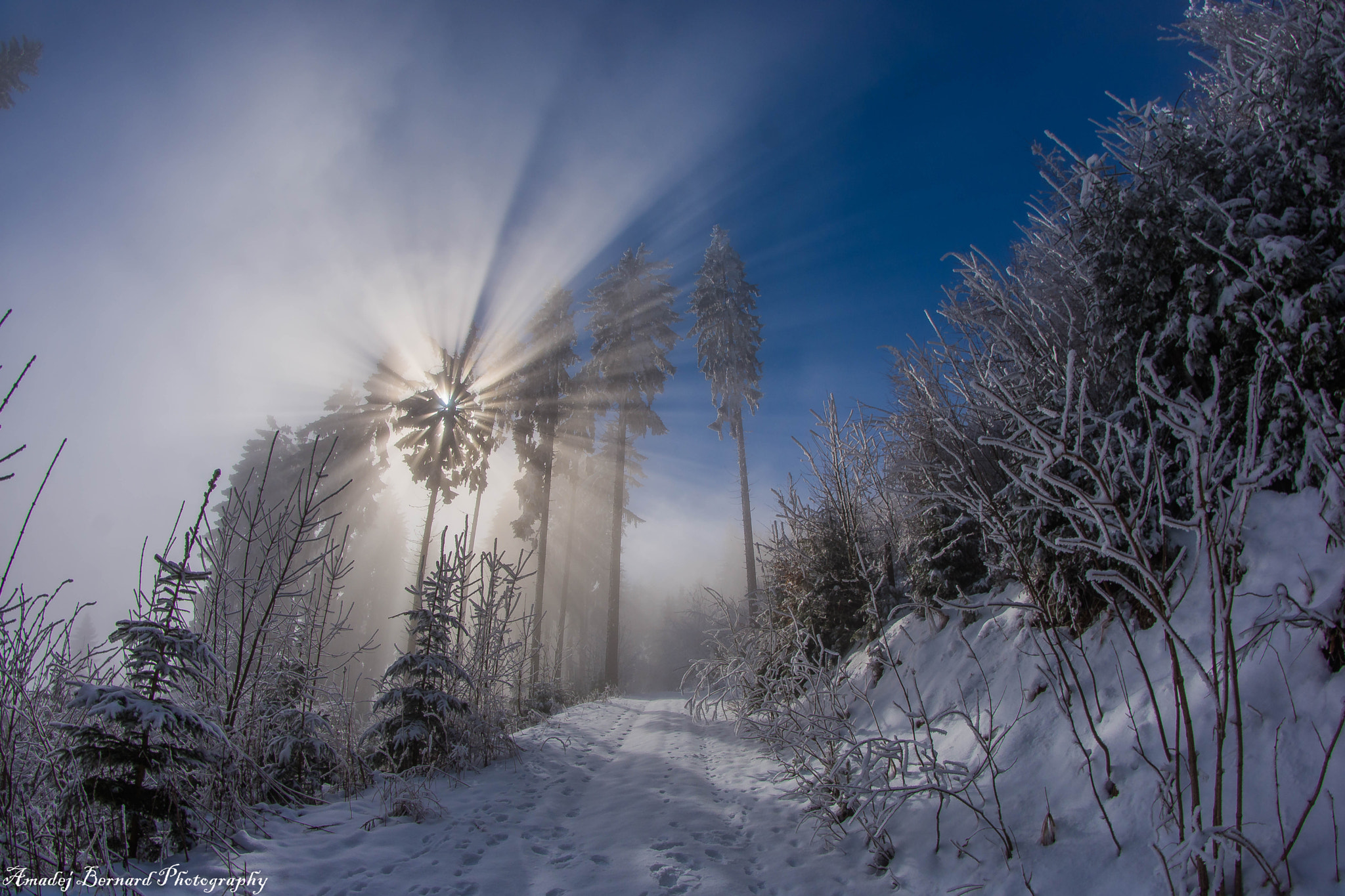 Nikon D7200 + Samyang 8mm F3.5 Aspherical IF MC Fisheye sample photo. Sun rays photography