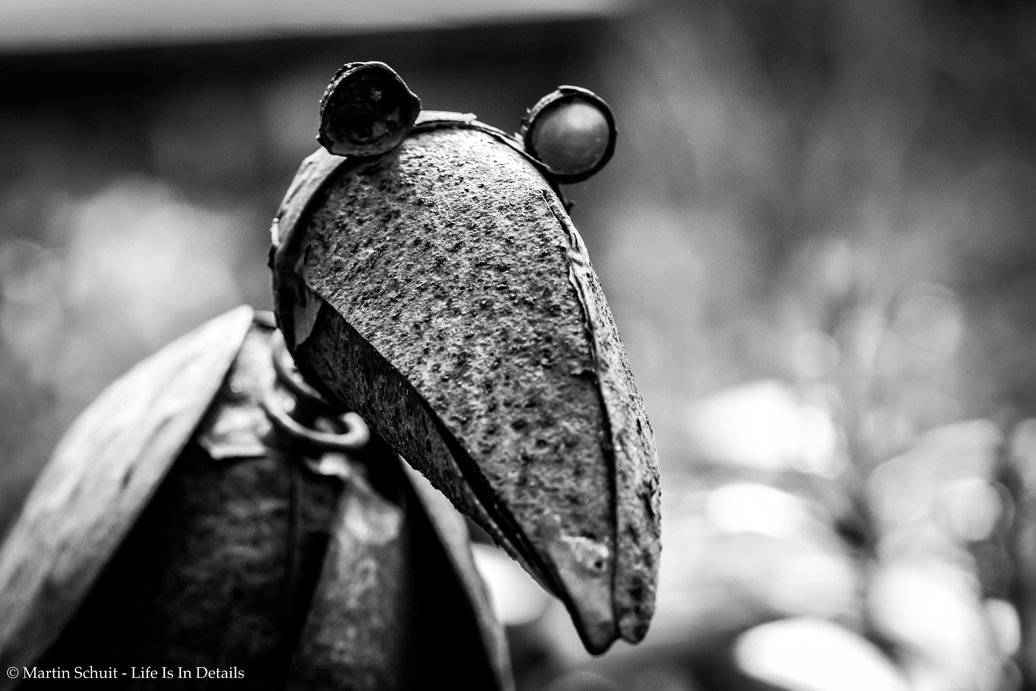 Canon EF 100mm F2.8 Macro USM sample photo. Rust photography