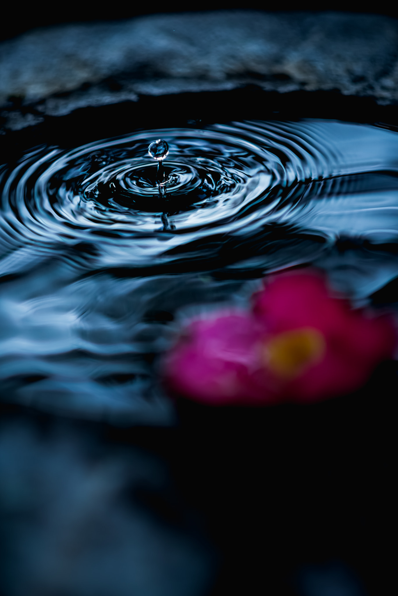 AF DC-Nikkor 135mm f/2D sample photo. Moment photography