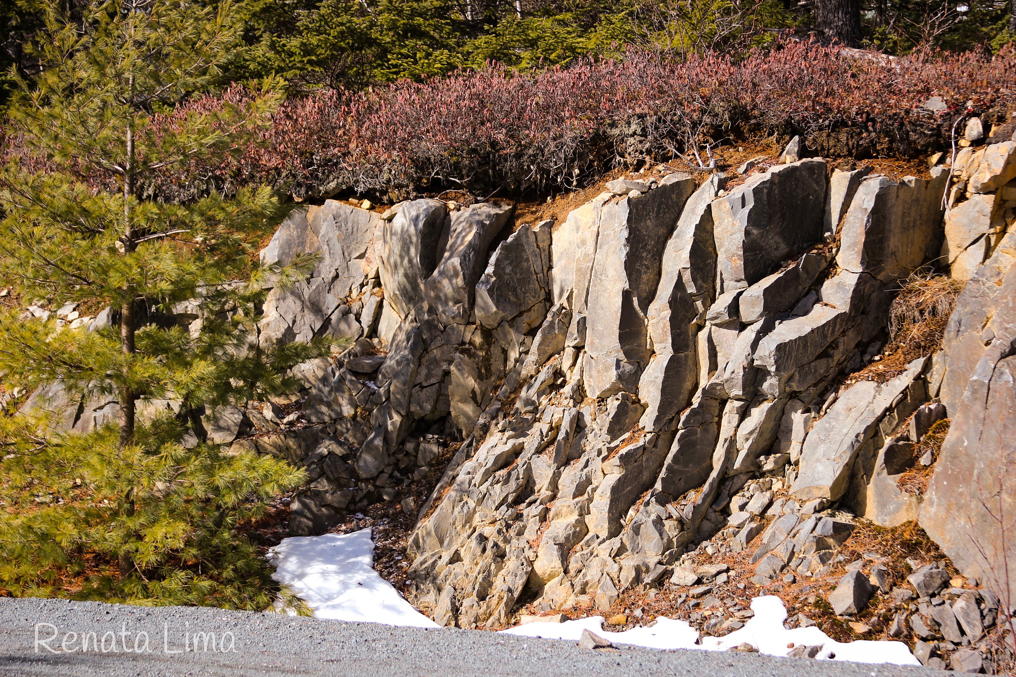 Canon EF 28-135mm F3.5-5.6 IS USM sample photo. Halifax, geology photography