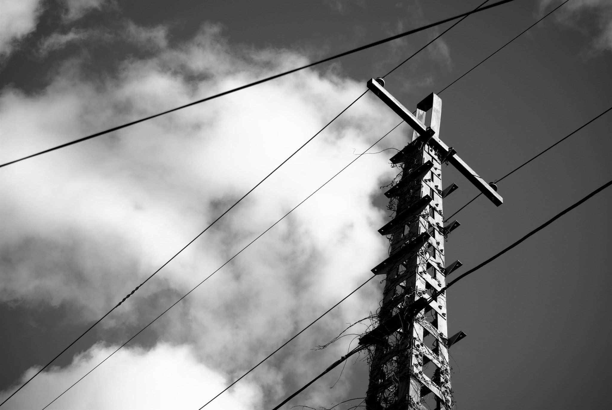 Nikon D3000 sample photo. Tower one photography