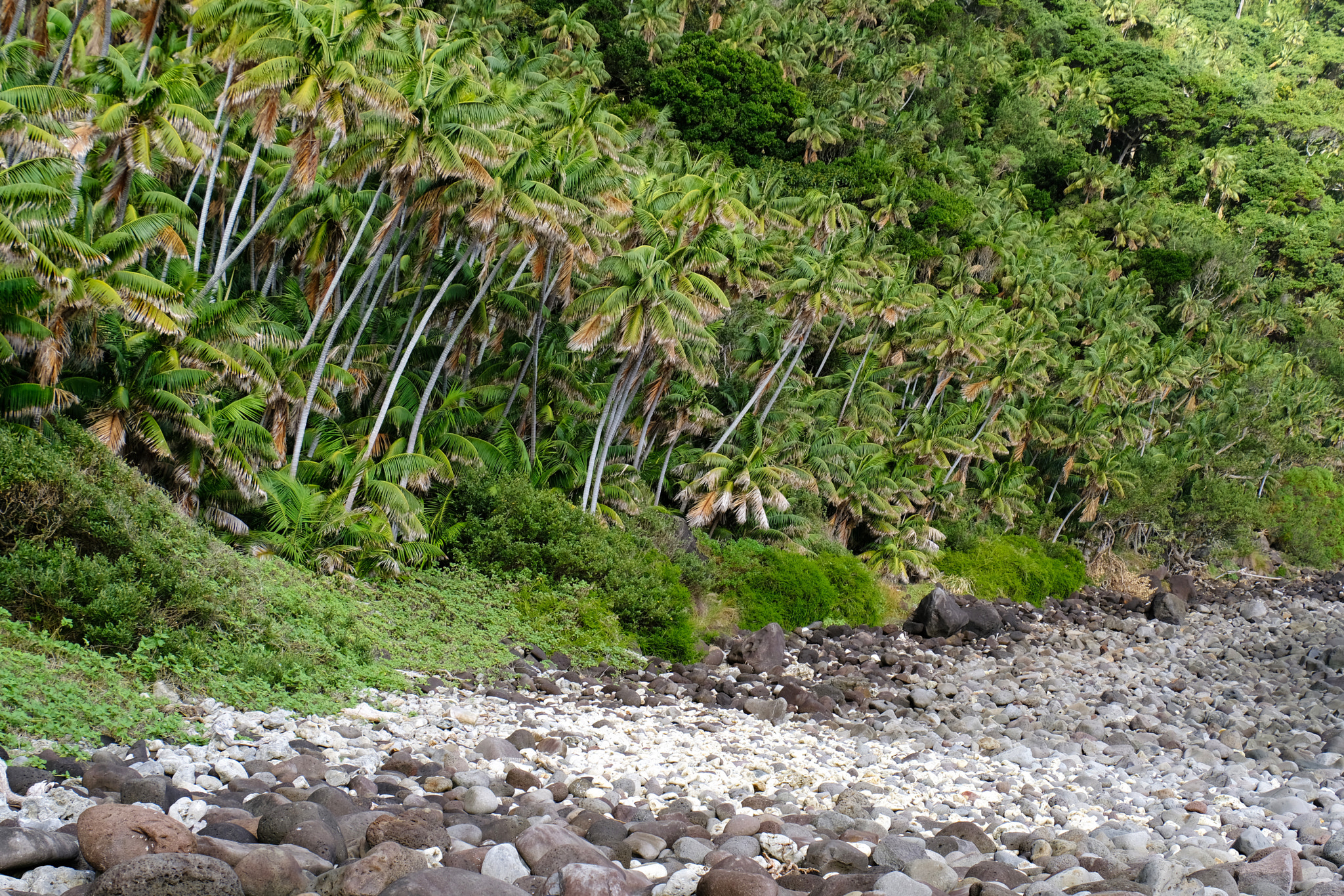 Fujifilm XF 18-135mm F3.5-5.6 R LM OIS WR sample photo. Lord howe island, australia photography