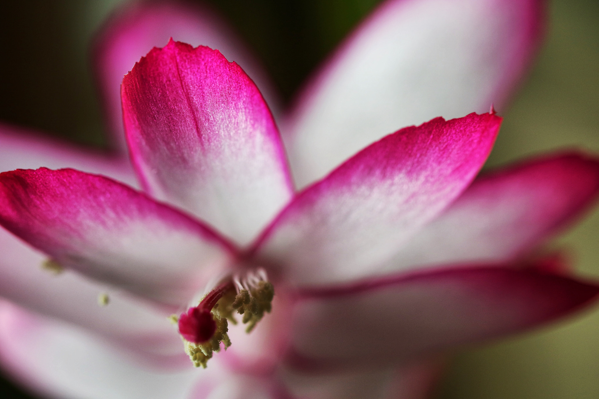 Canon EOS M3 sample photo