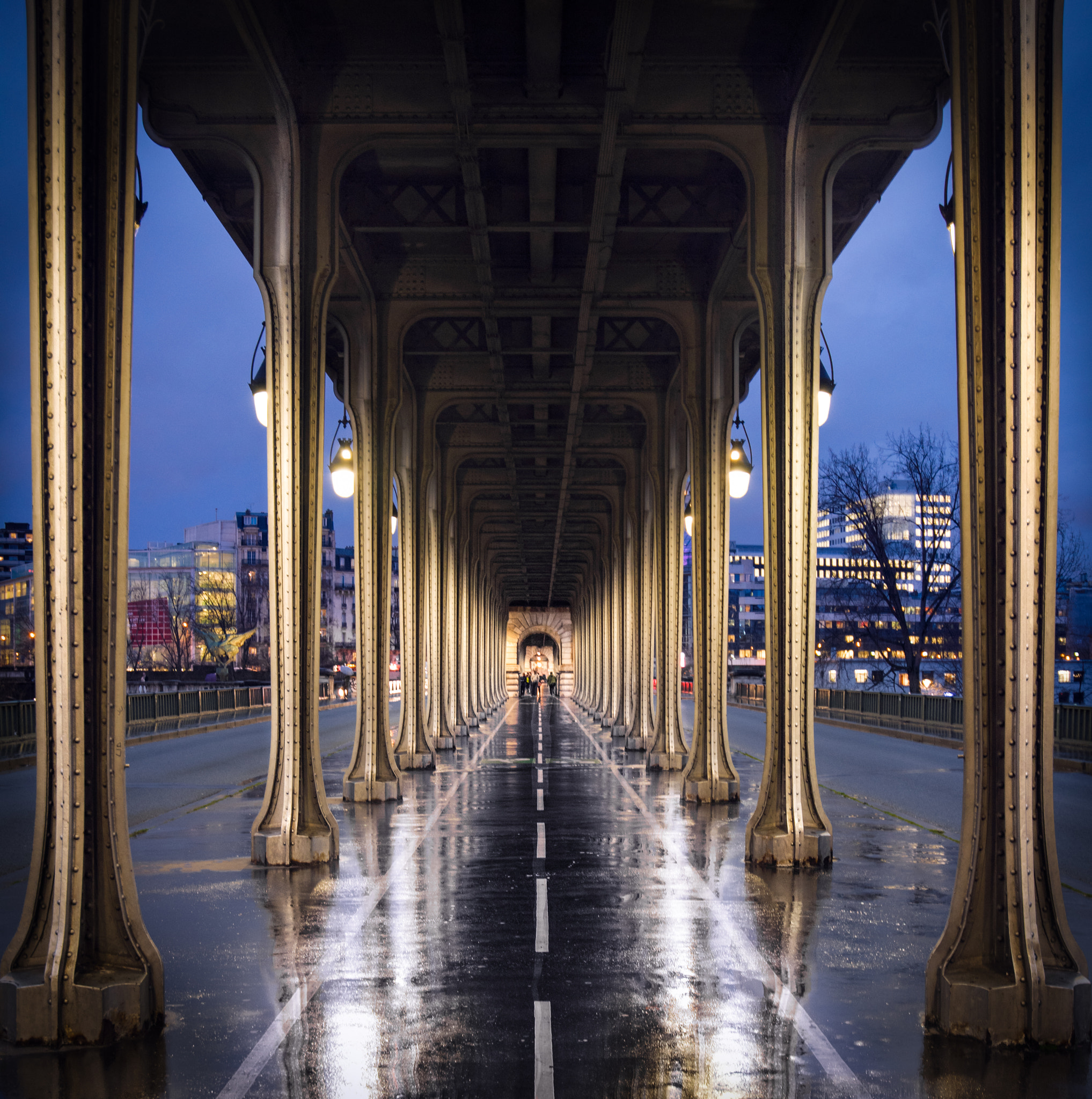 Nikon D750 + Nikon AF-S Nikkor 18-35mm F3.5-4.5G ED sample photo. Bir-hakeim bridge, paris photography