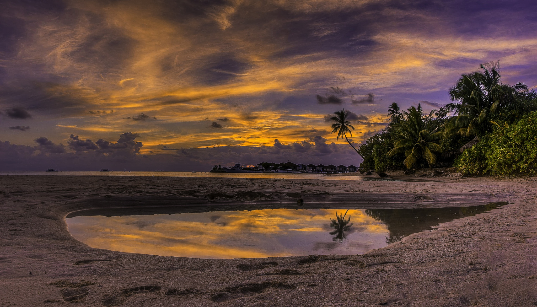 Nikon D200 + Nikon AF Fisheye-Nikkor 16mm F2.8D sample photo. Tidal pool photography