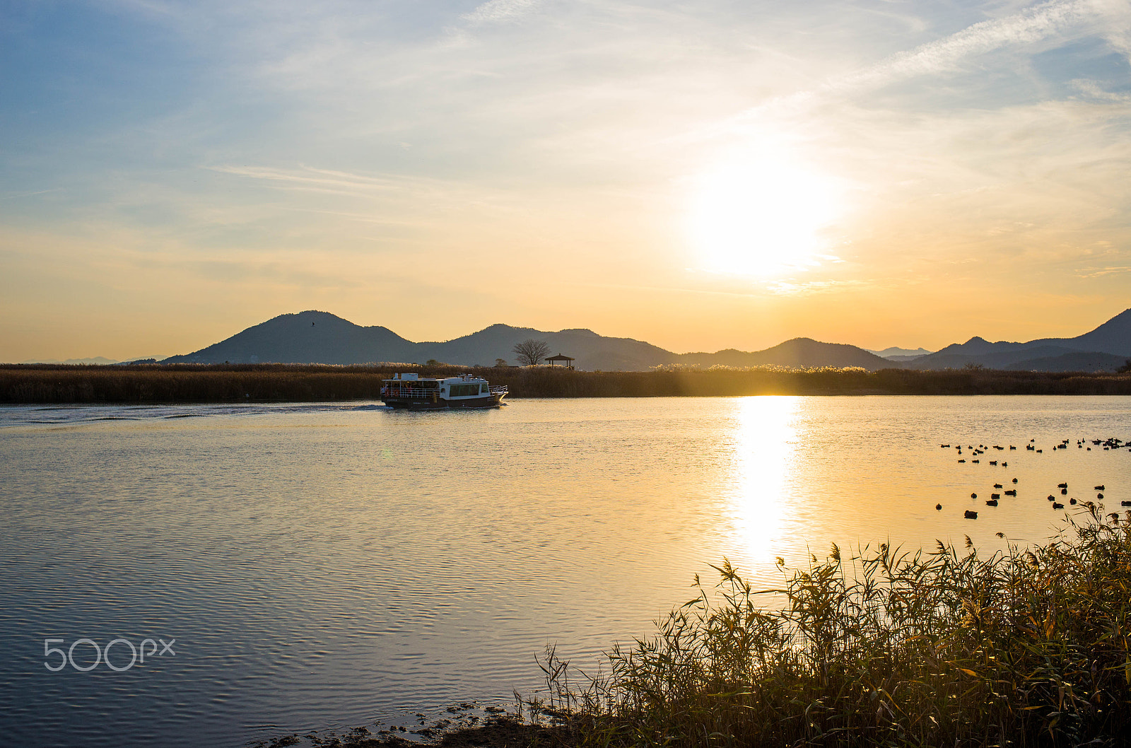 Canon EF 35mm F2 IS USM sample photo. Suncheonman (순천만) photography