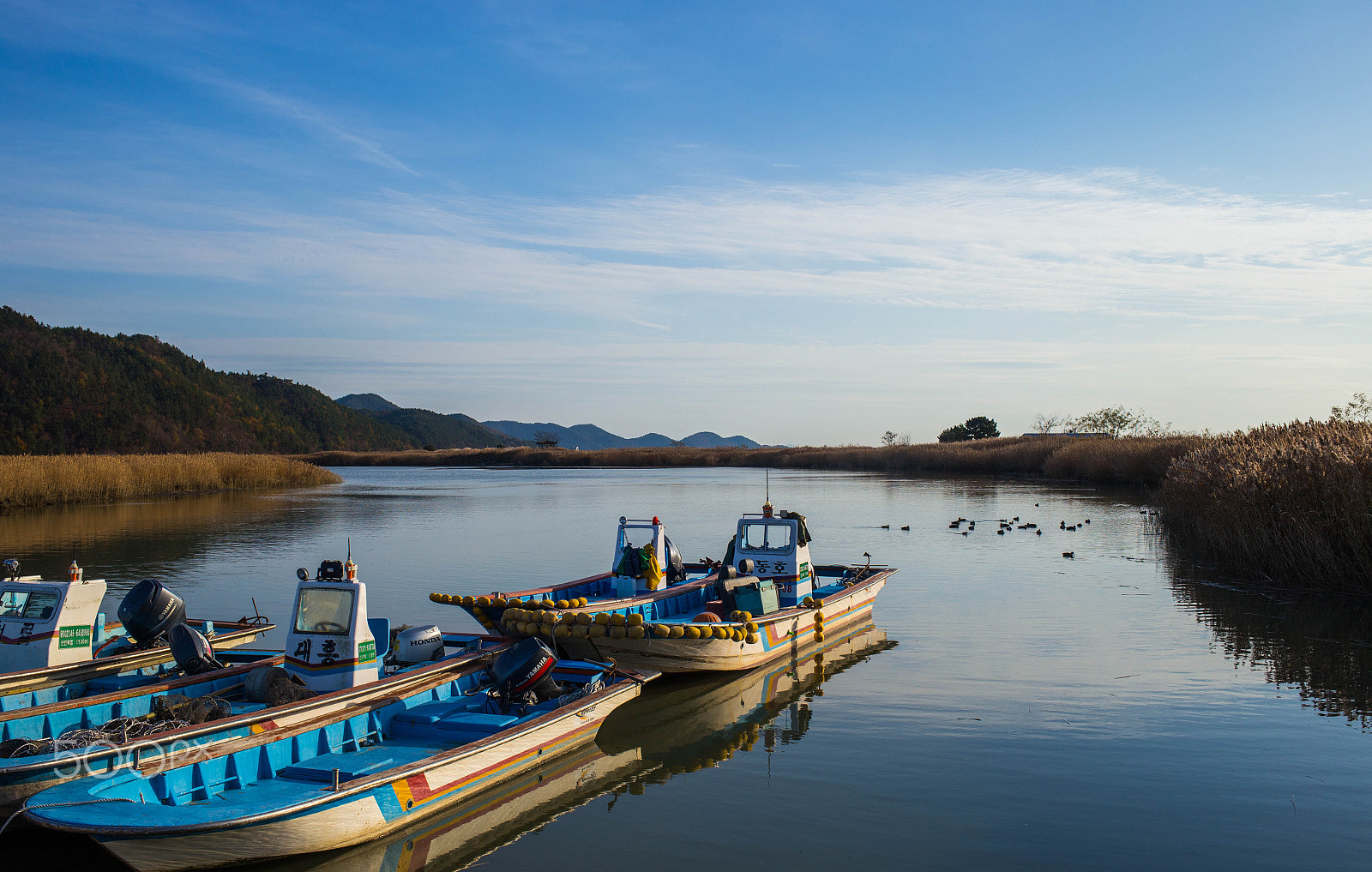 Canon EF 35mm F2 IS USM sample photo. Suncheonman (순천만) photography