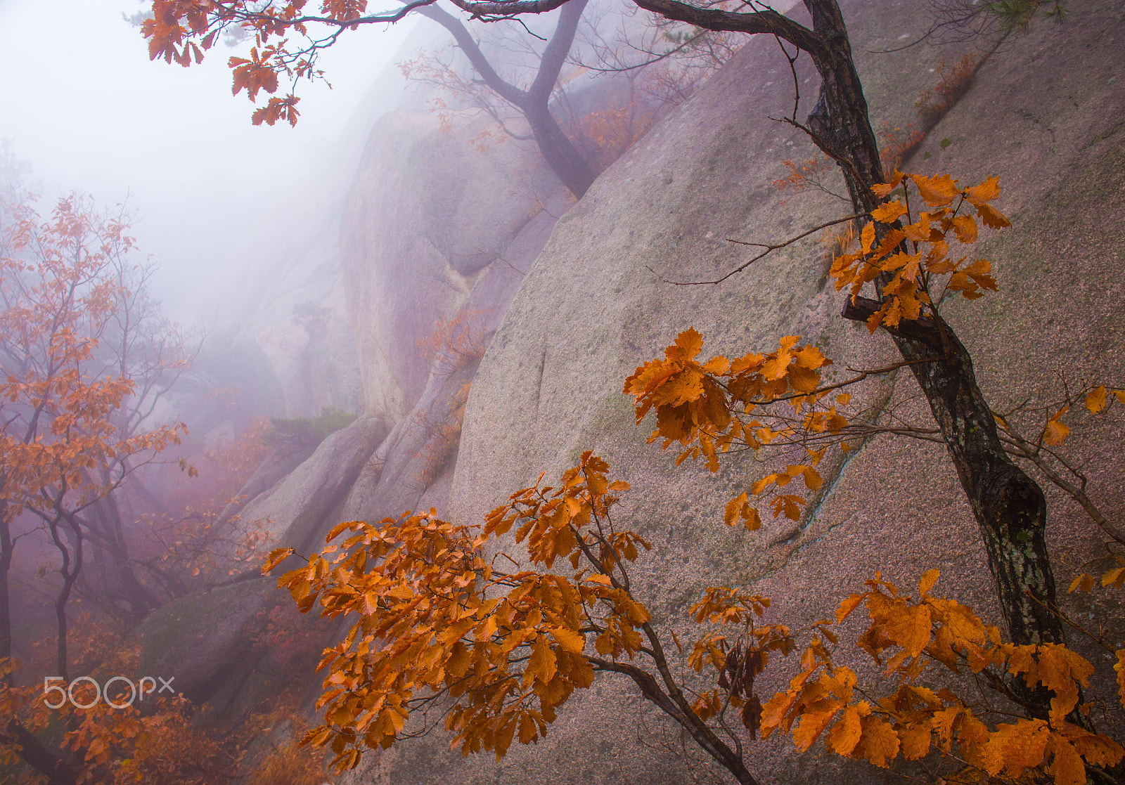 Canon EOS 6D + Canon EF 24mm F2.8 IS USM sample photo. Seoraksan national park, sokcho (설악산국립공원 속초) photography