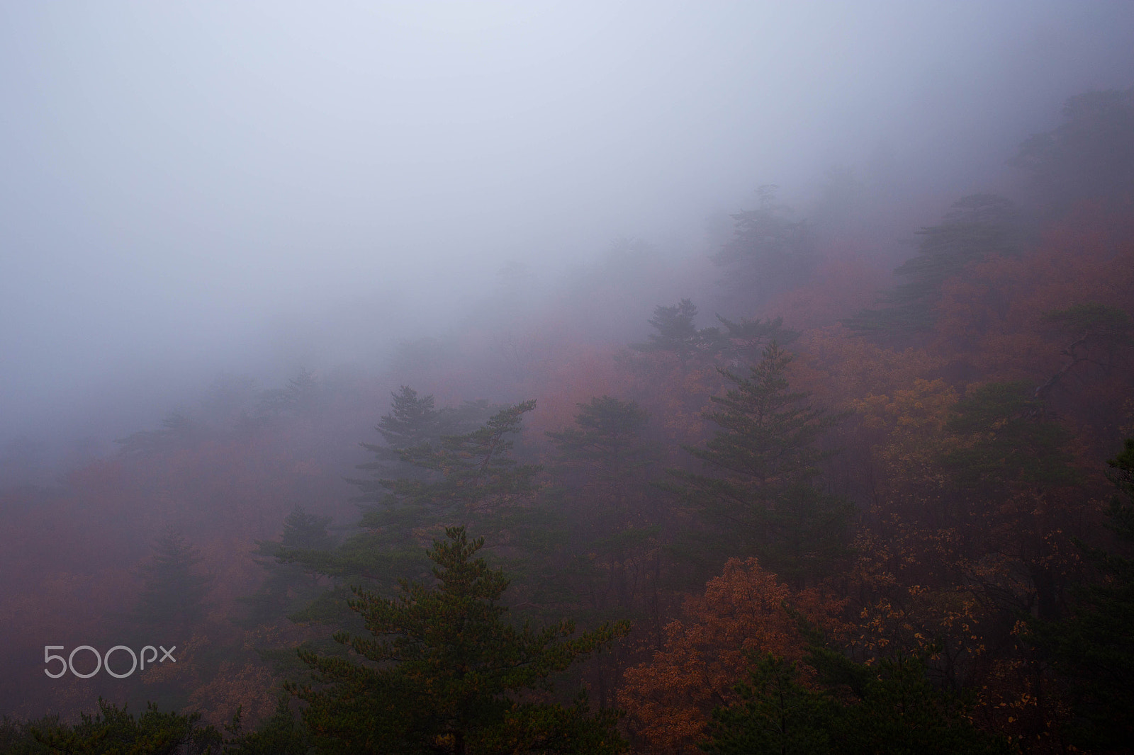 Canon EOS 6D + Canon EF 24mm F2.8 IS USM sample photo. Seoraksan national park, sokcho (설악산국립공원 속초) photography