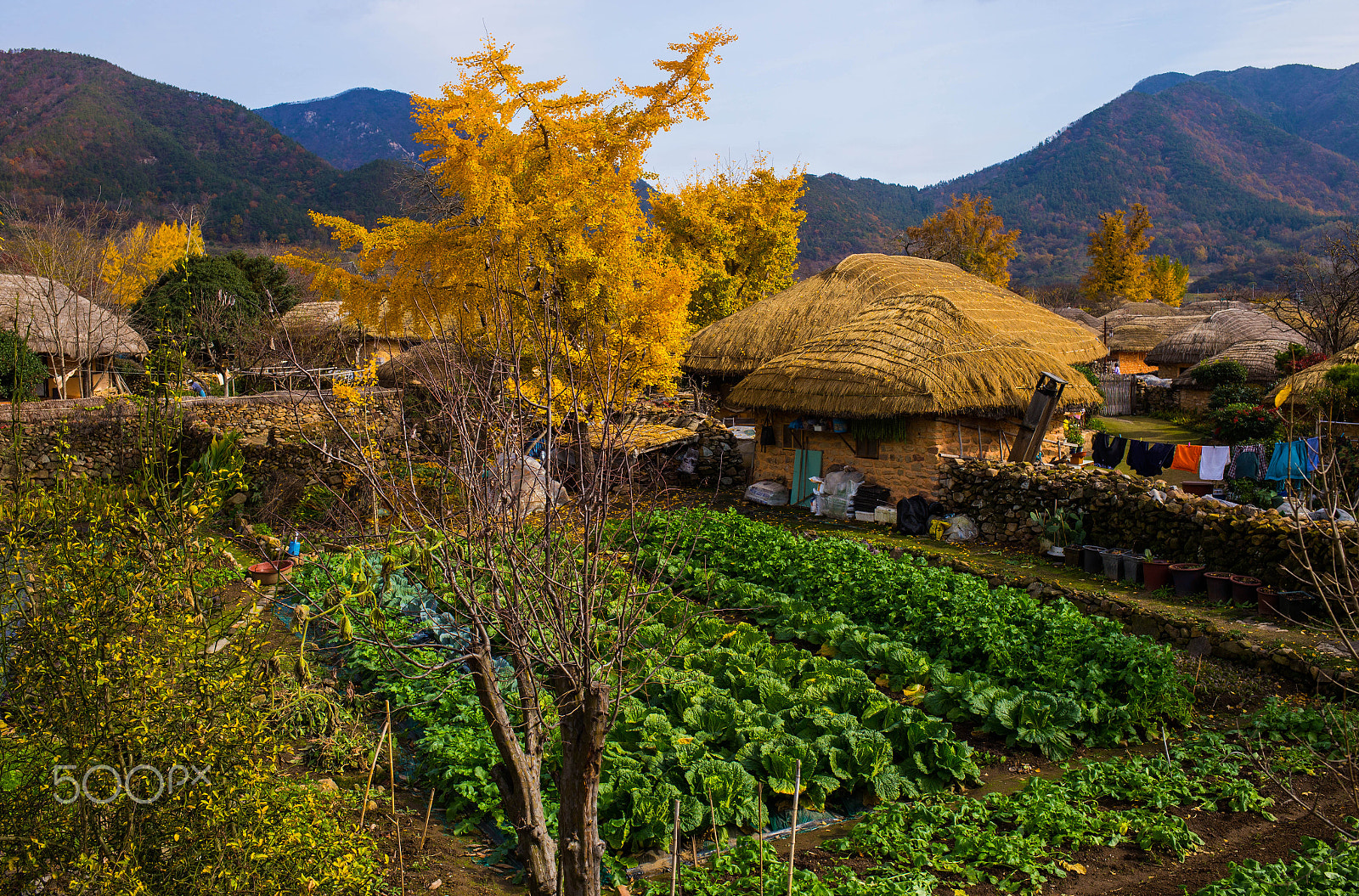 Canon EF 35mm F2 IS USM sample photo. Naganeupseong folk village, suncheon (낙안읍성 순천) photography