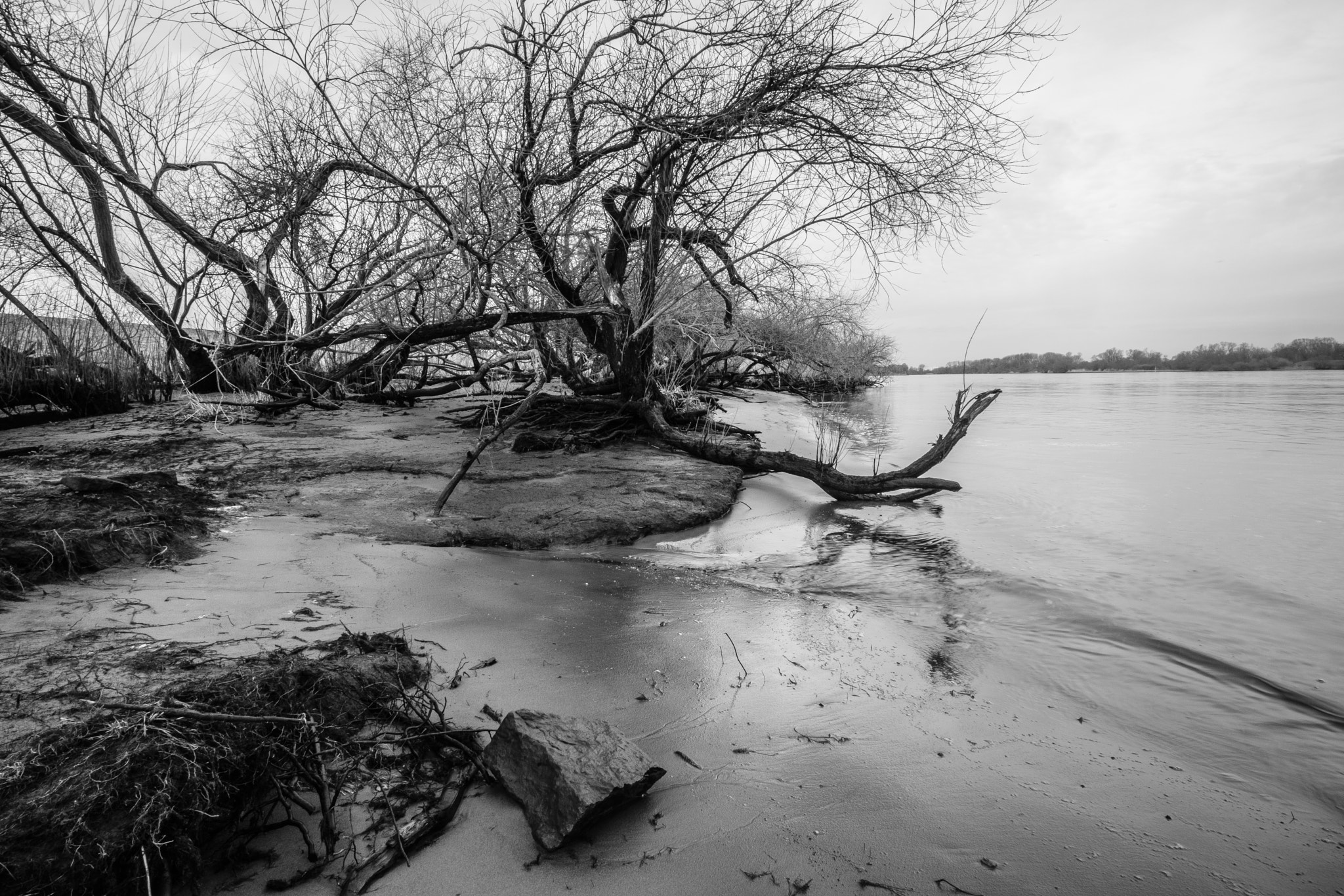 Fujifilm X-T2 + ZEISS Touit 12mm F2.8 sample photo. River elbe near hamburg photography