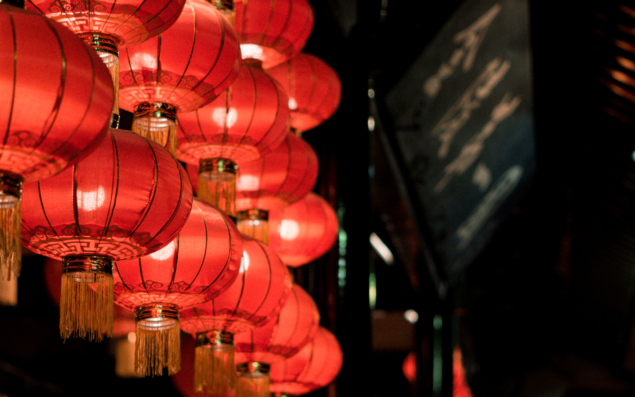 Sony FE 50mm F1.8 sample photo. Lanten photography