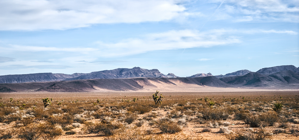 Sony a7 II sample photo. Las vegas desert photography