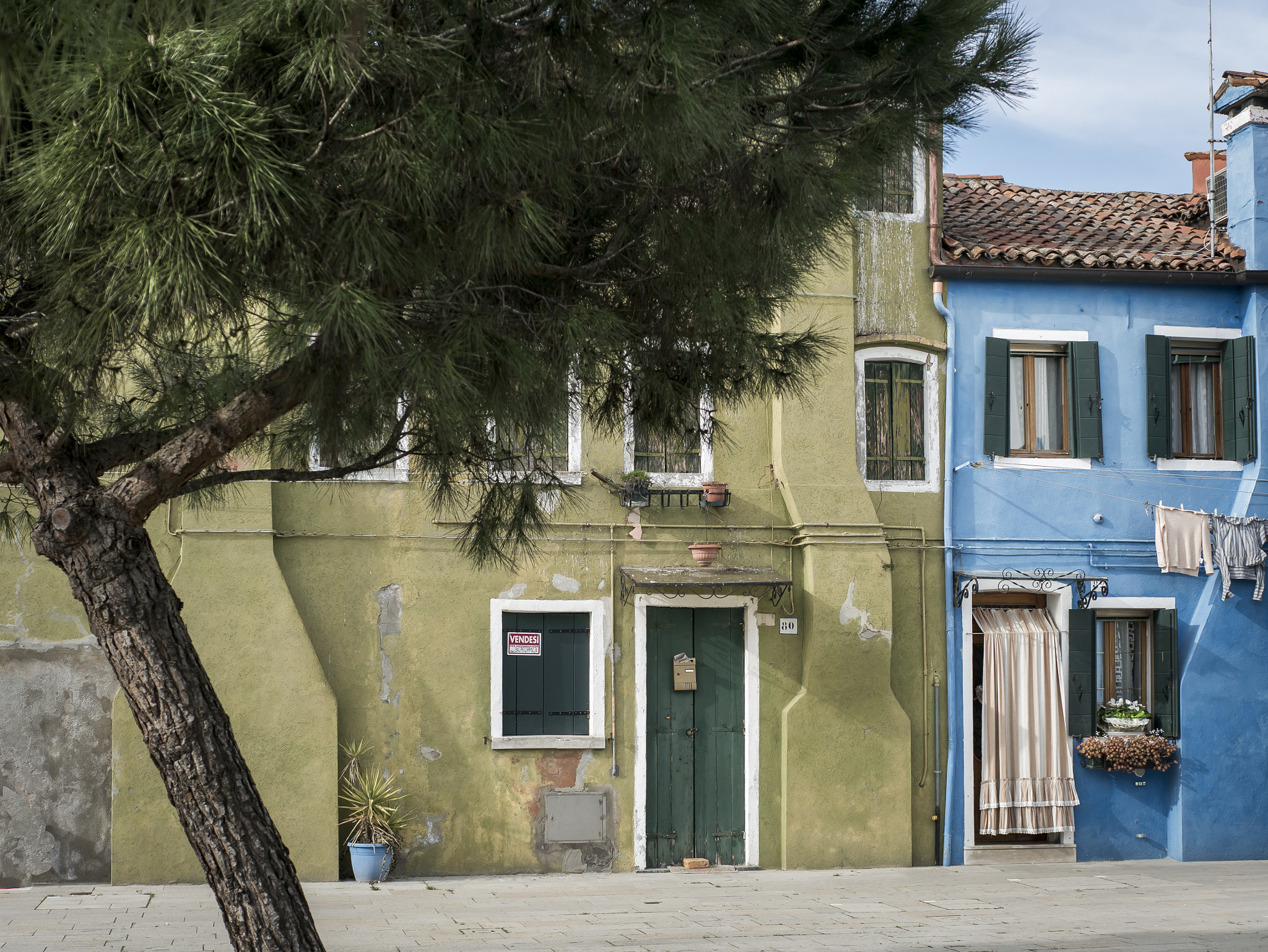Panasonic Leica DG Summilux 25mm F1.4 II ASPH sample photo. Burano tree photography