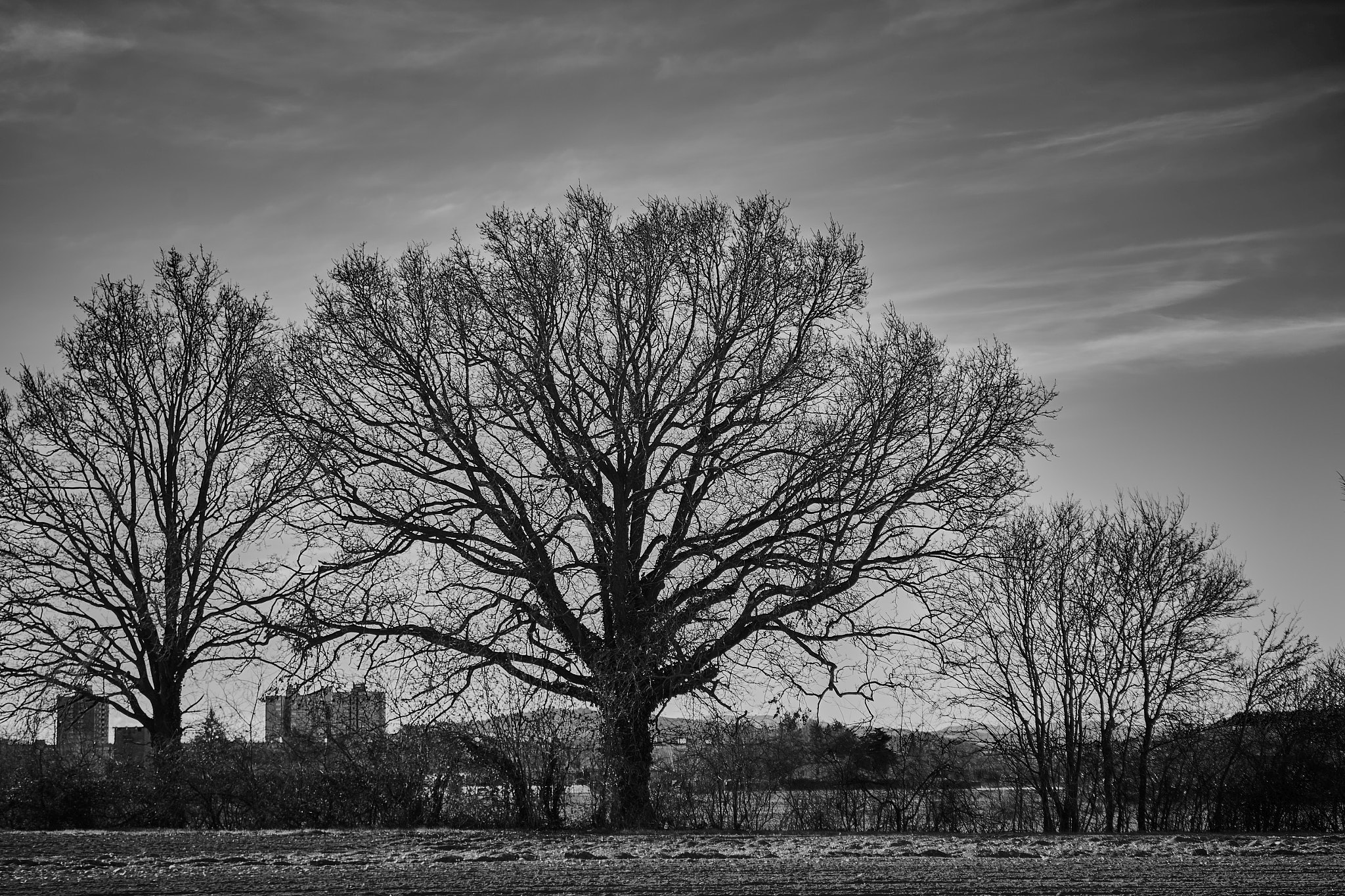 Sony a7 II + Sony FE 28-70mm F3.5-5.6 OSS sample photo. Bologna photography