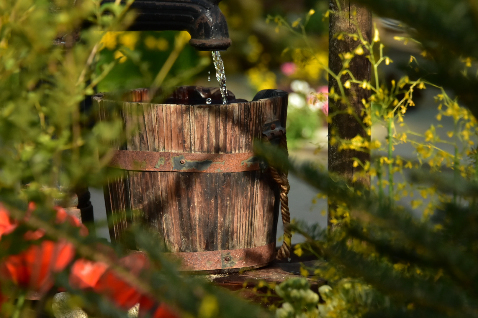 Nikon D7200 sample photo. Untitled photography