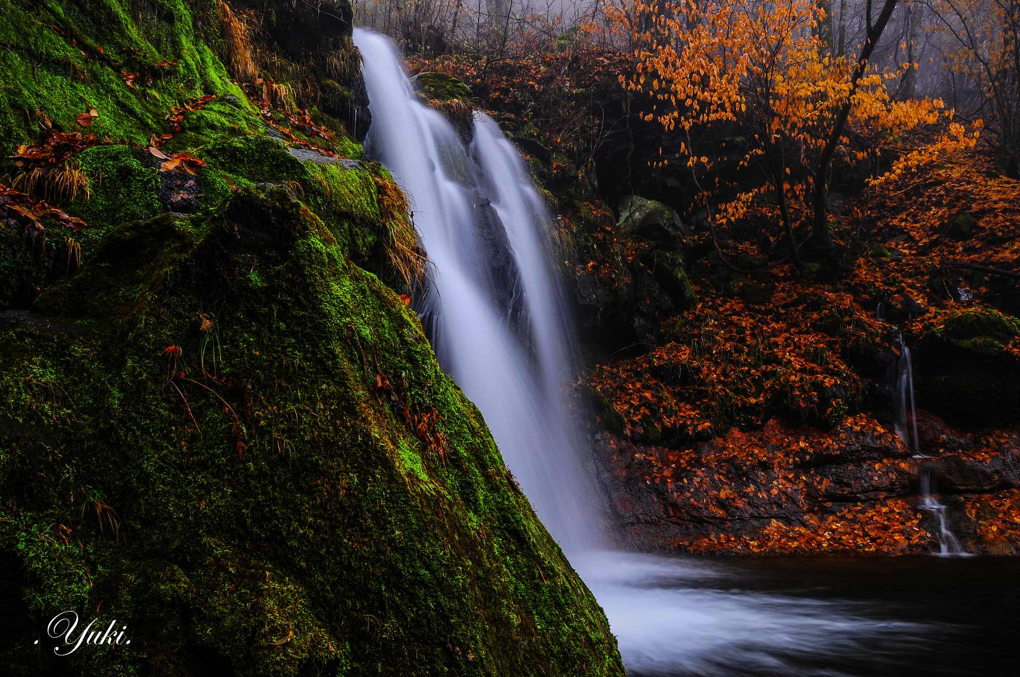 Nikon AF-S Nikkor 17-35mm F2.8D ED-IF sample photo. 水無滝 秋 photography