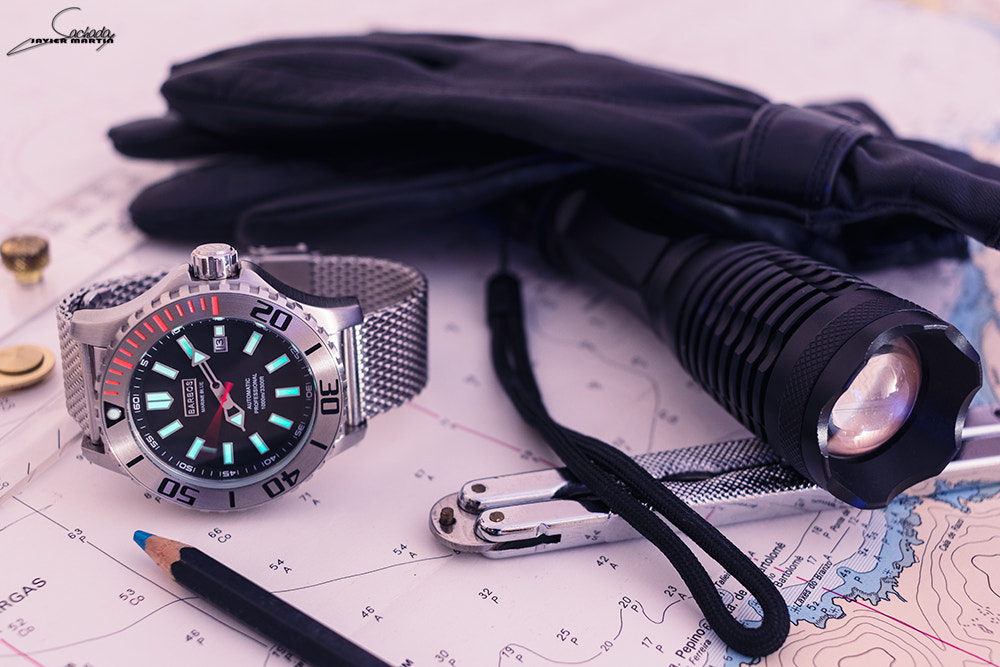Canon EF-S 24mm F2.8 STM sample photo. Barbos photography