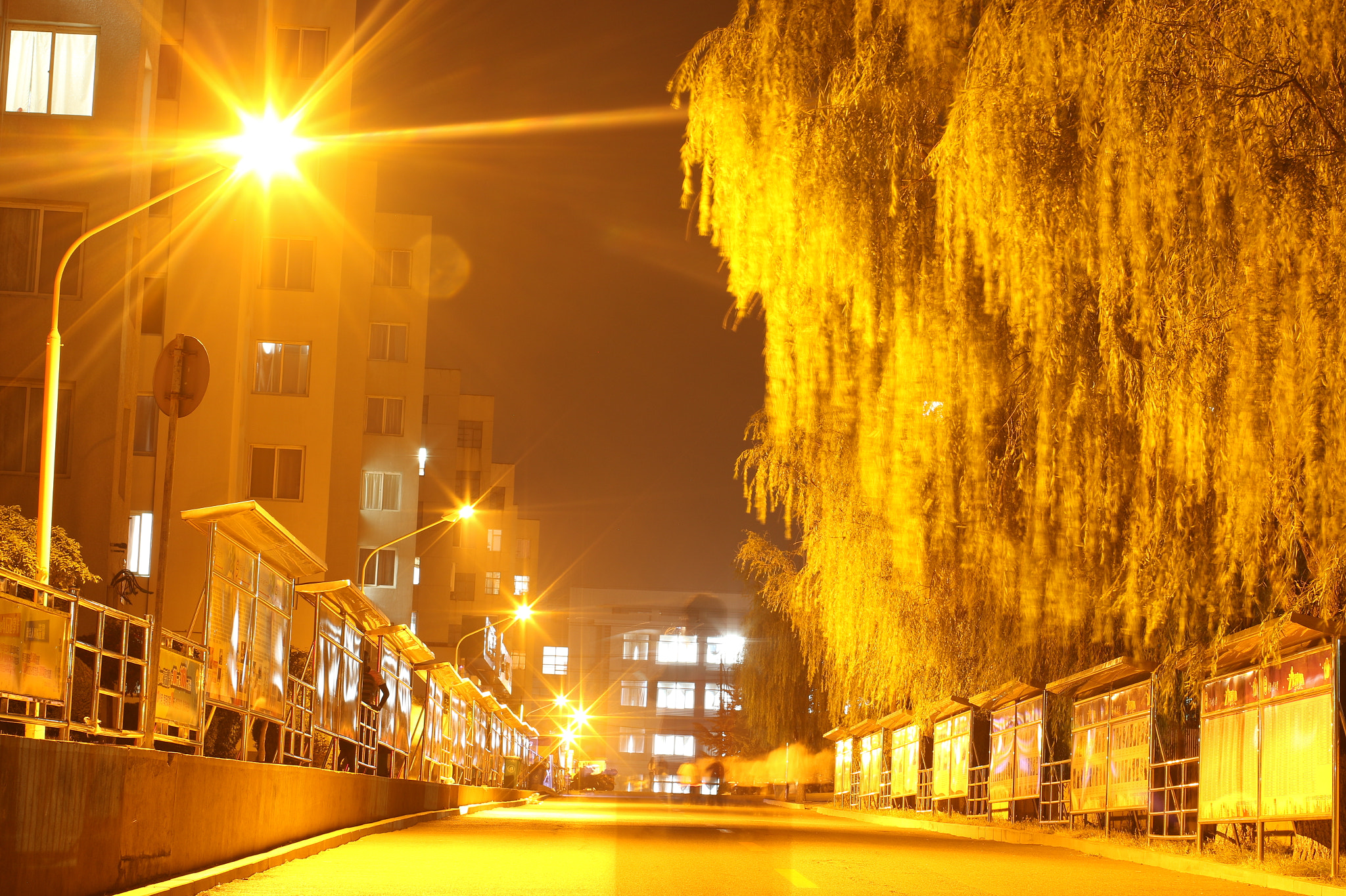 Canon EF 50mm F1.2L USM sample photo. Night photography photography